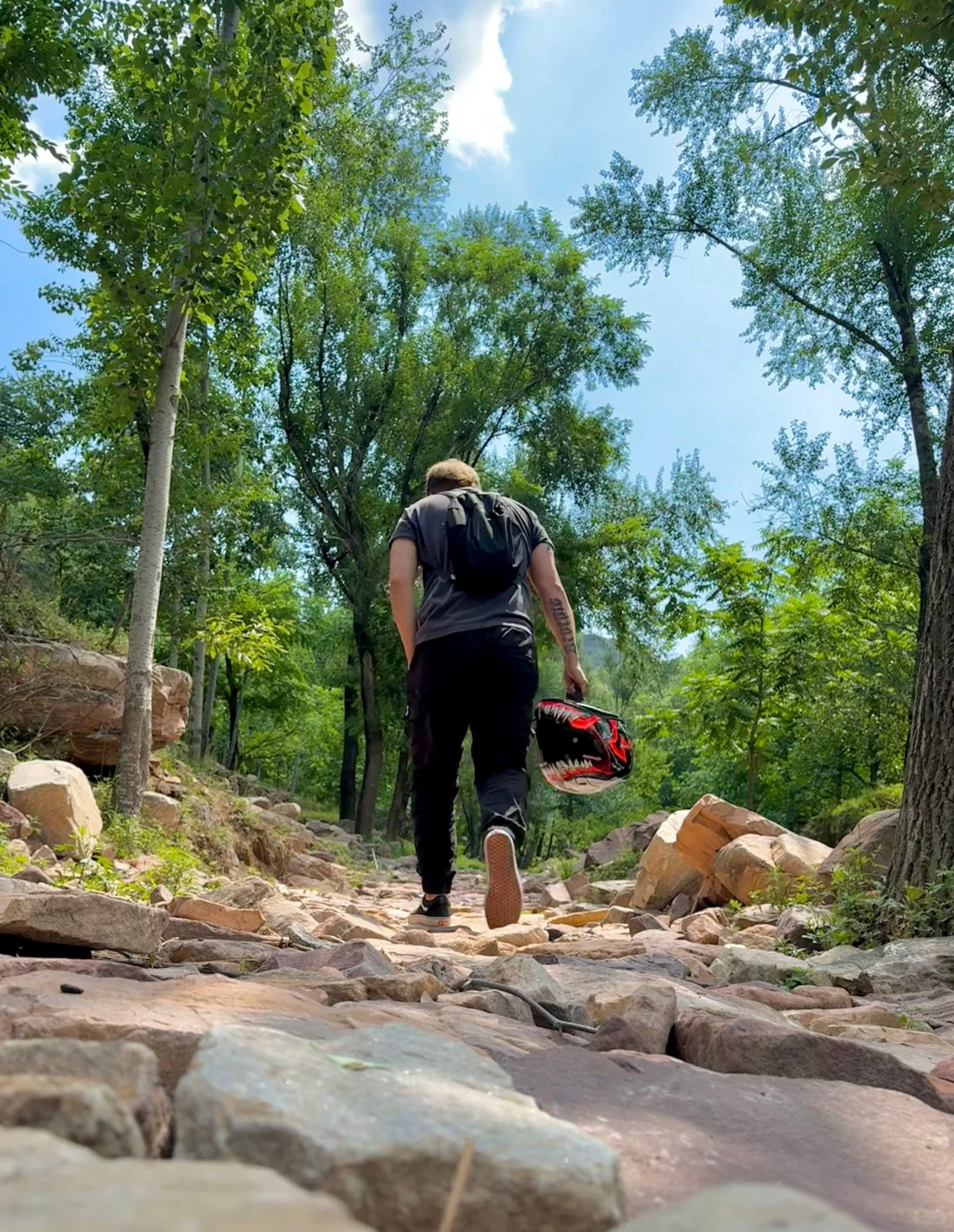 距离邯郸🚗1.5h的小众森林🌲🌲