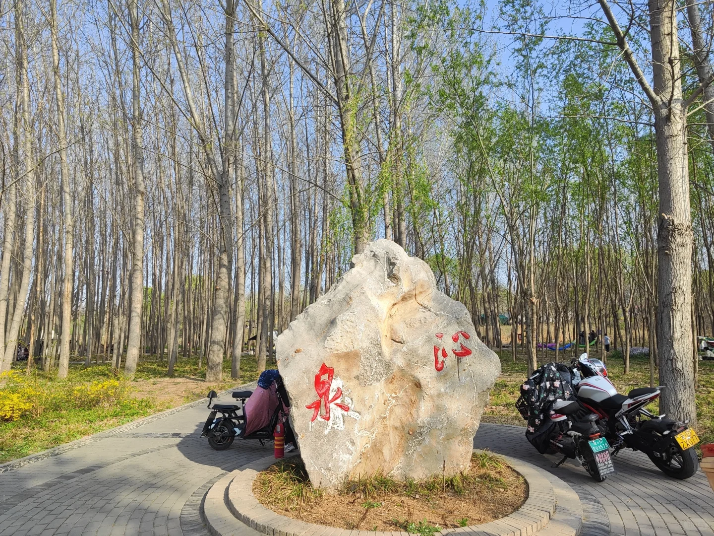 ✨邯郸👣免费露营遛娃的好地方