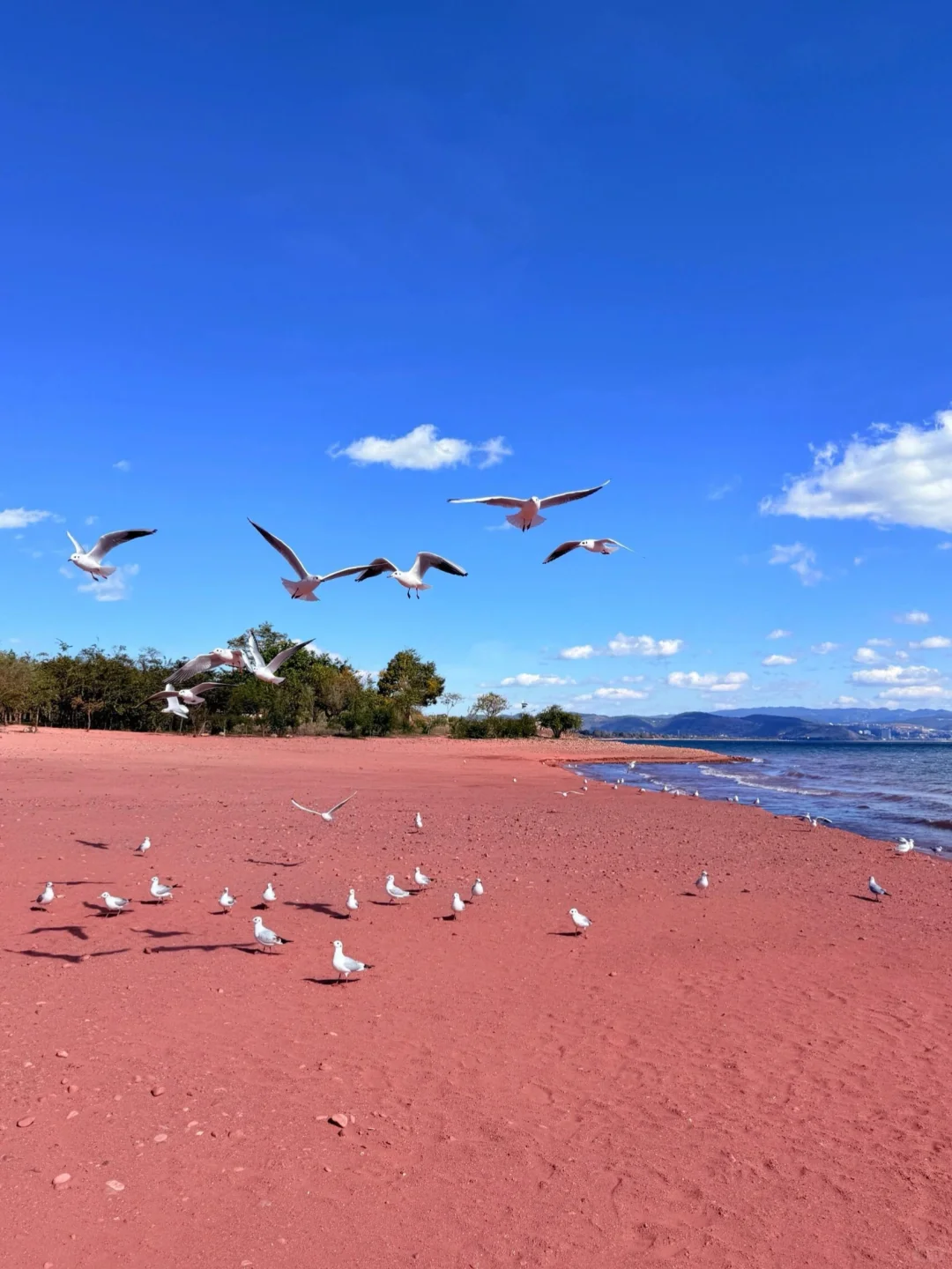 五一反向旅游!我找到了国内唯一的粉红沙滩
