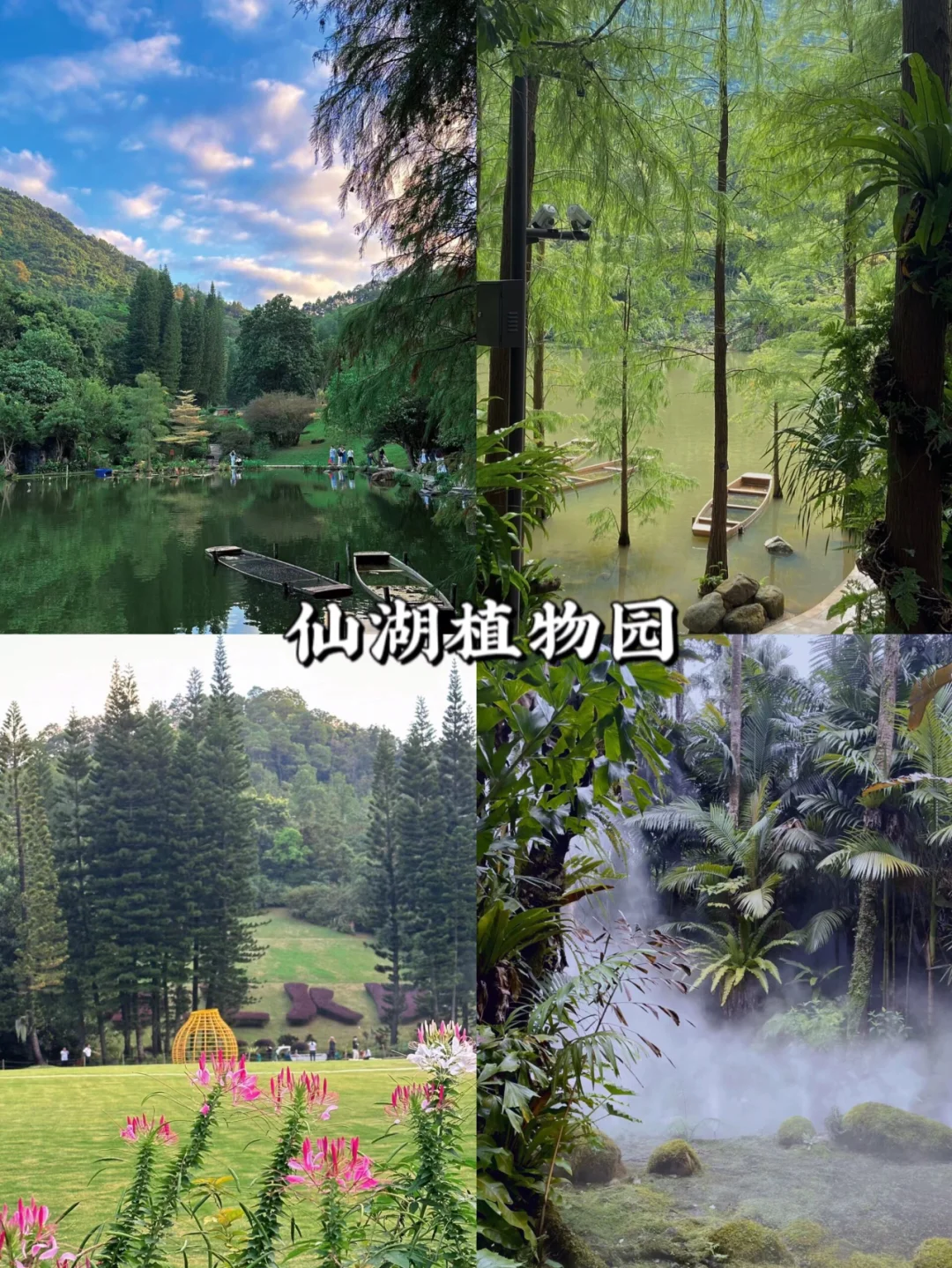 深圳必去九大景点|新手必看❗️附旅游攻略