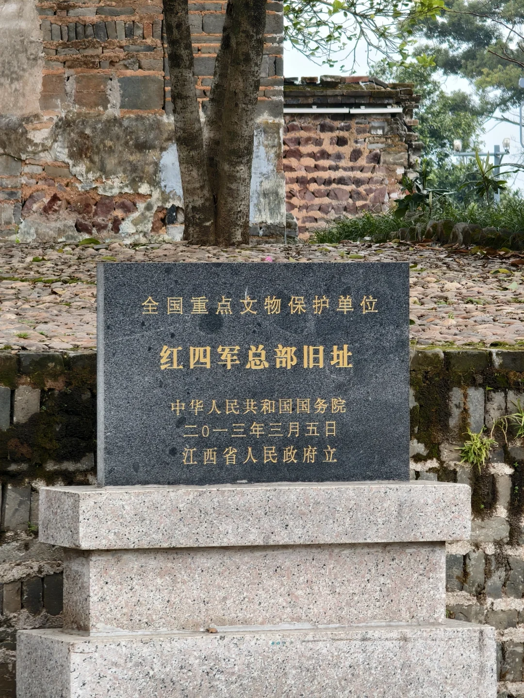 不会只有我傻乎乎的买票进去吧😅😅😅