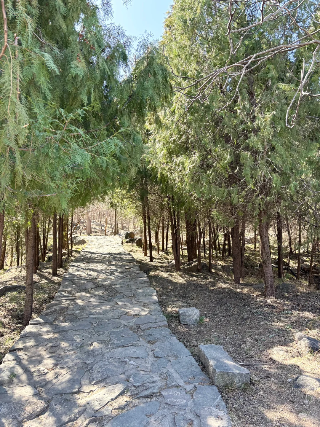 带着宝宝👶上春山⛰️⛰️🏔️🗻