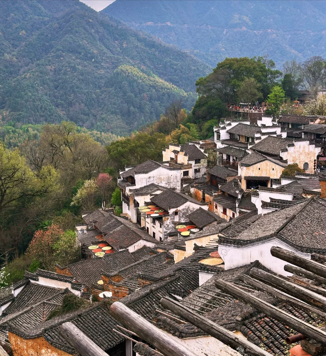 石家庄-南昌-婺源-景德镇周末特种兵攻略