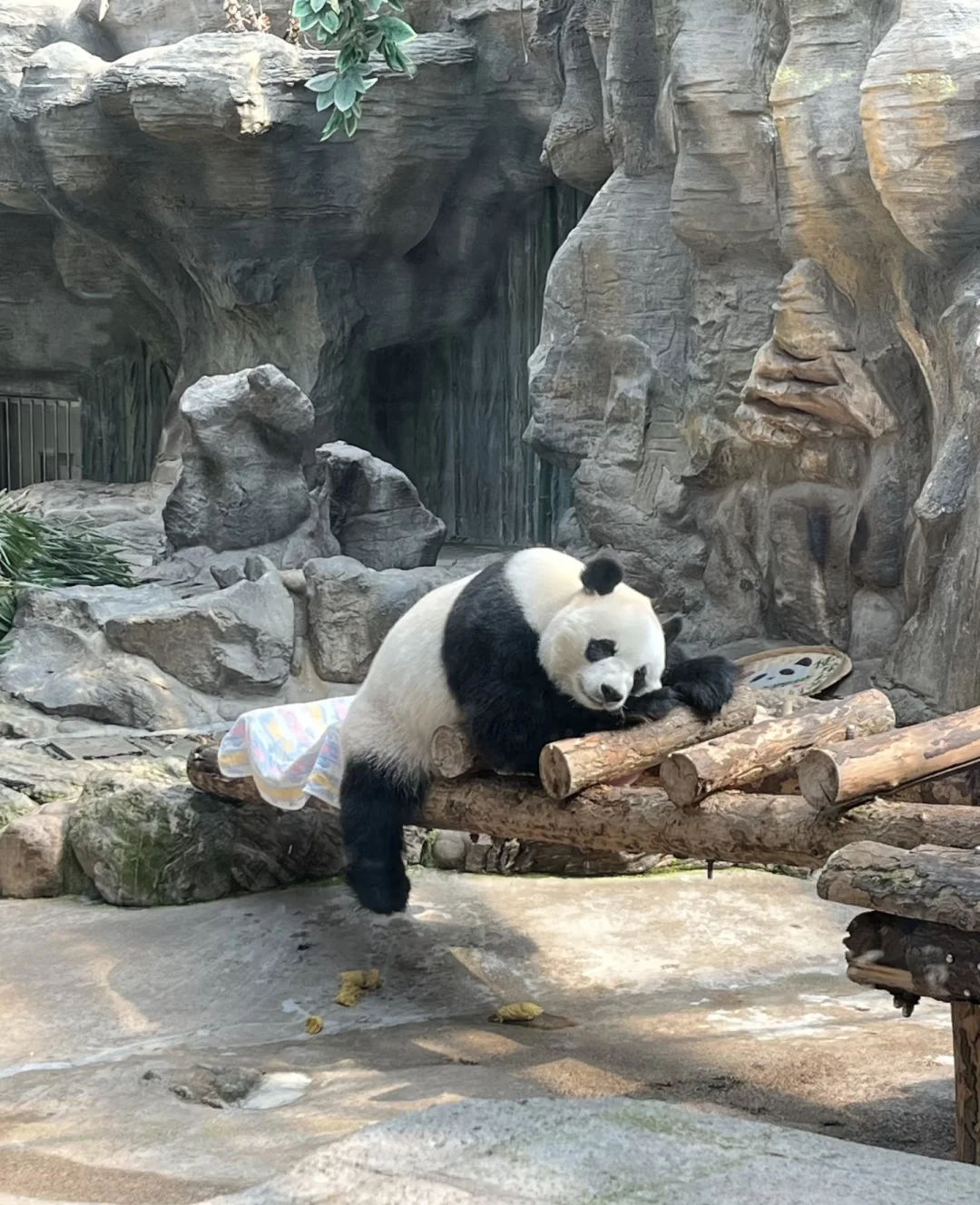 🌟北京必打卡十大景点|私藏攻略 不踩