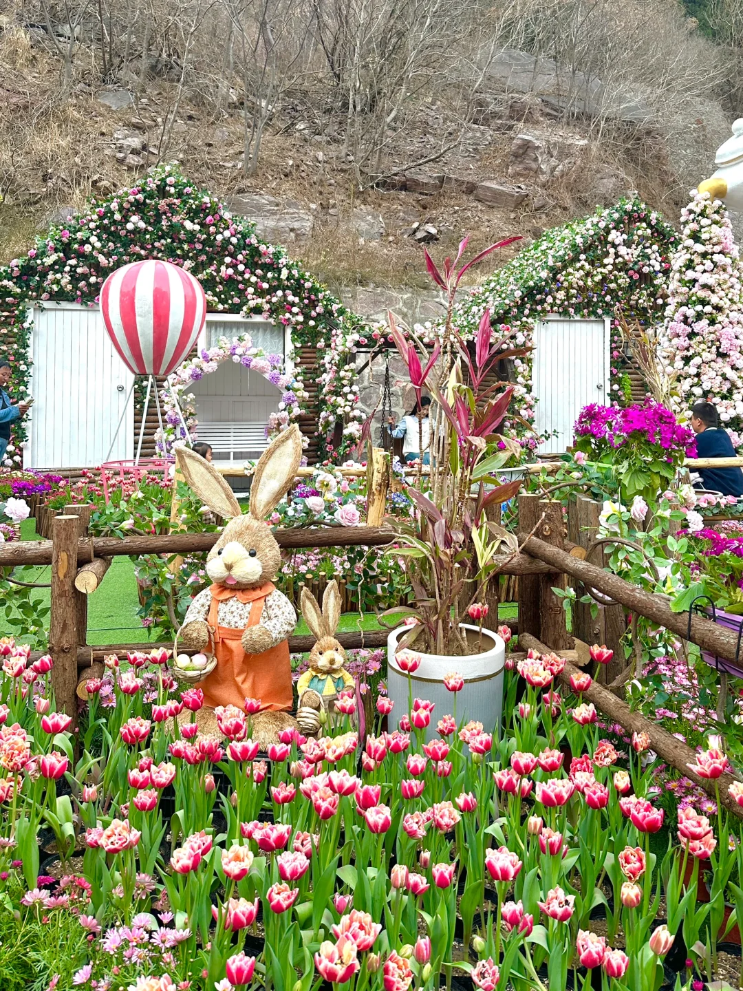 🌷在莫奈花园里