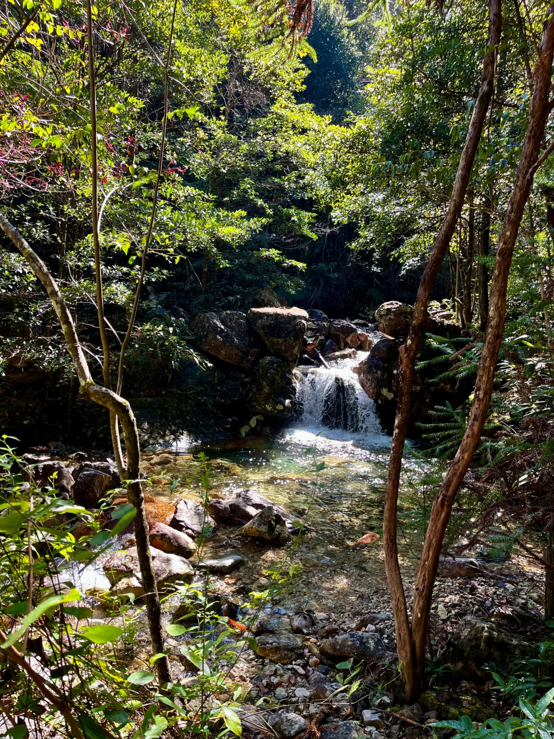 丽水秘境徒步｜阳光洒落 潭水如钻🍃🧊🫧