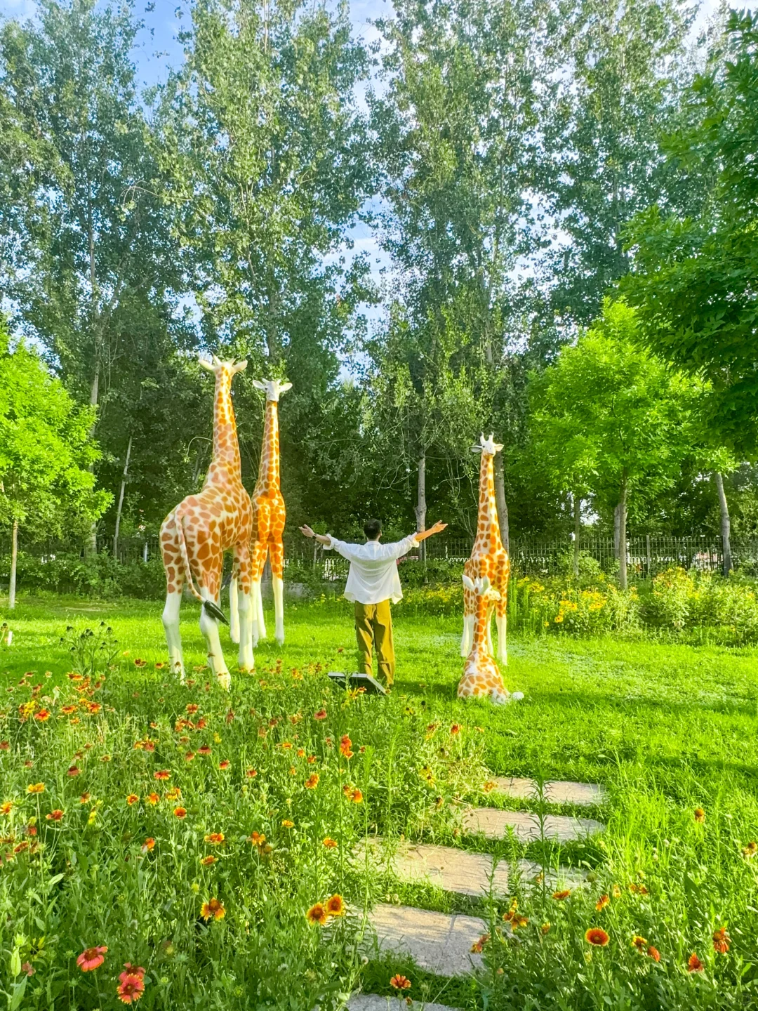 公园20分钟效应·邯郸植物园带来的松弛感🌲