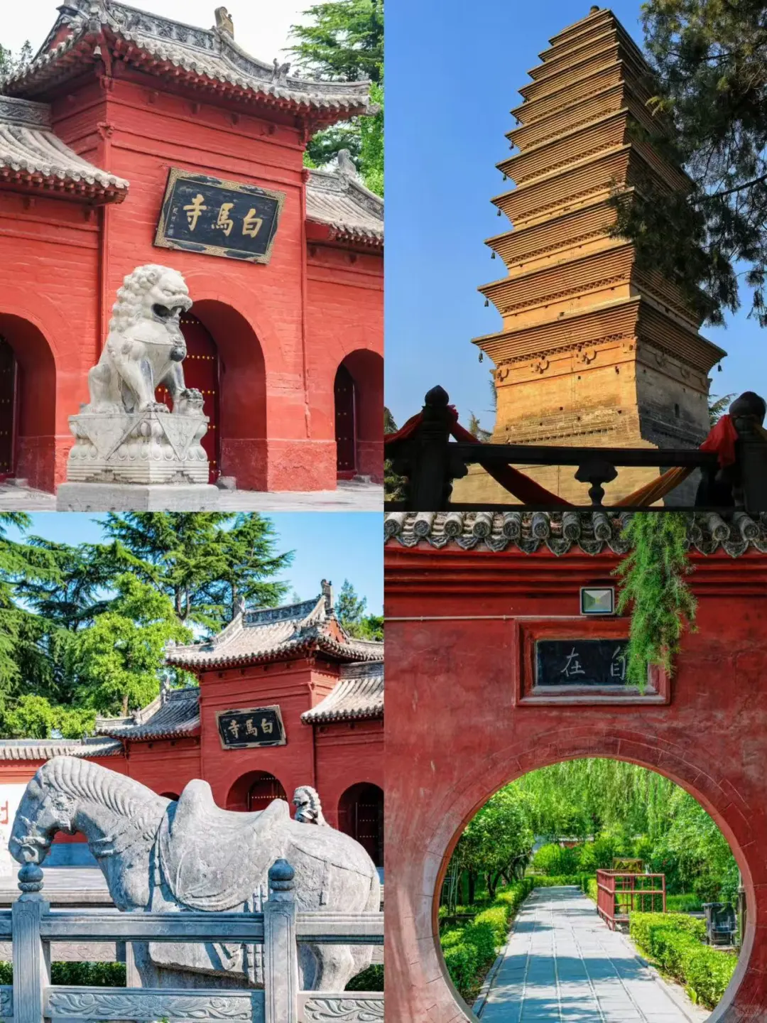 🌸洛阳 |3-4月来真香，牡丹花城的春日奇遇！