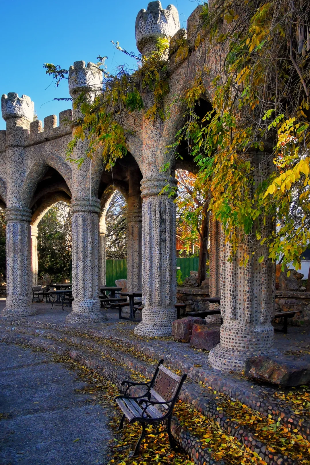 打卡天津254：惊艳的中华石园🌺