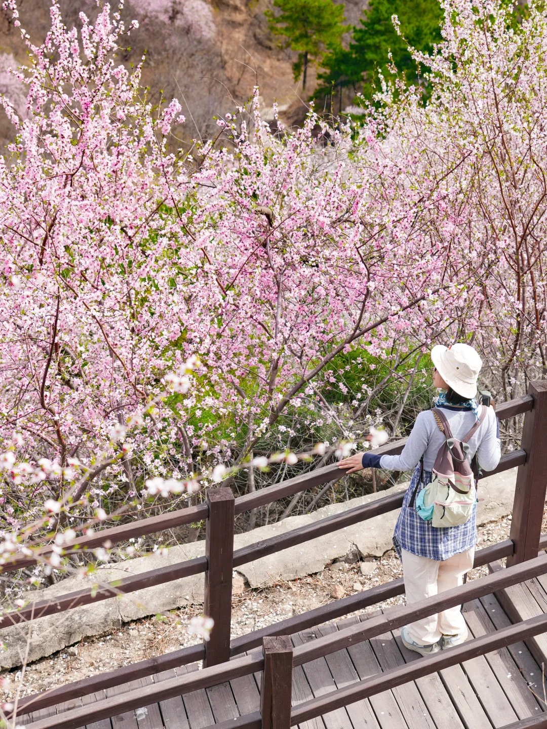 超小众！老少皆宜的无人登山步道美呆了😳！