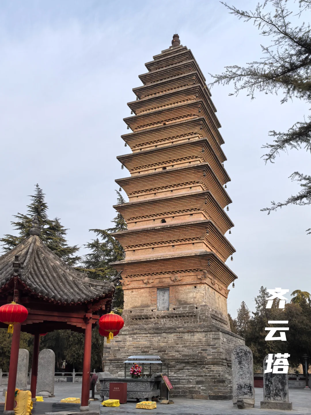 牡丹待放🌸｜洛阳还有这些地方穿越千年