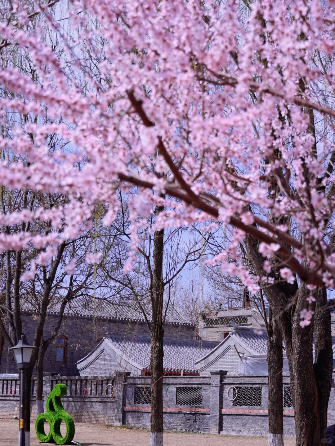 北京春天📍适合一个人逛一下午的地方…