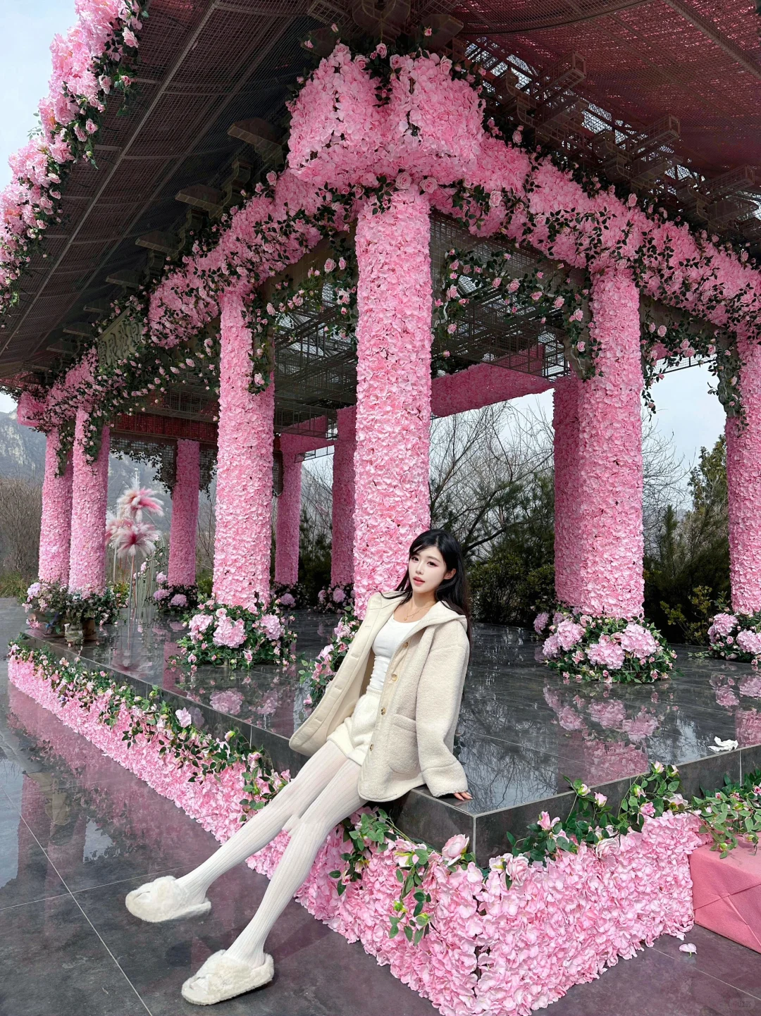 🌷在莫奈花园里