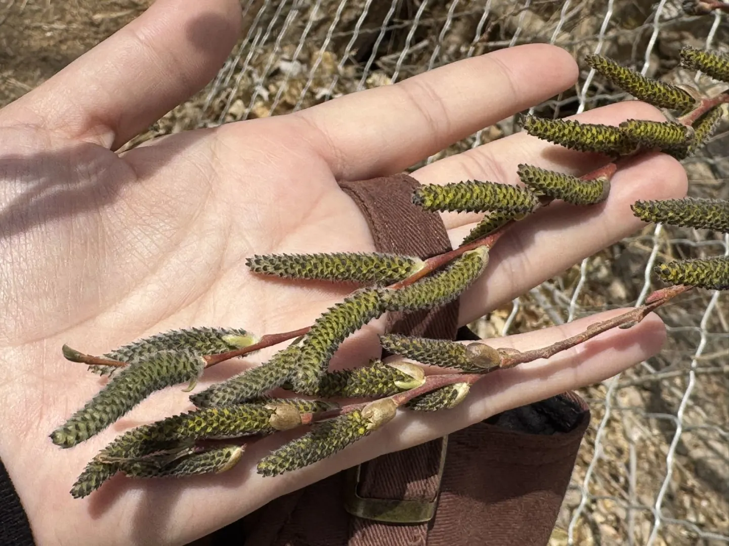 肉孜节|2️⃣个短途亲子出游小众地➡️线路