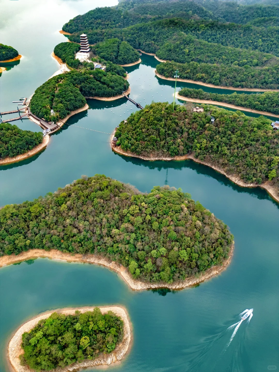 八千岛屿包围一棵树🌲江西被低估的宝藏景点