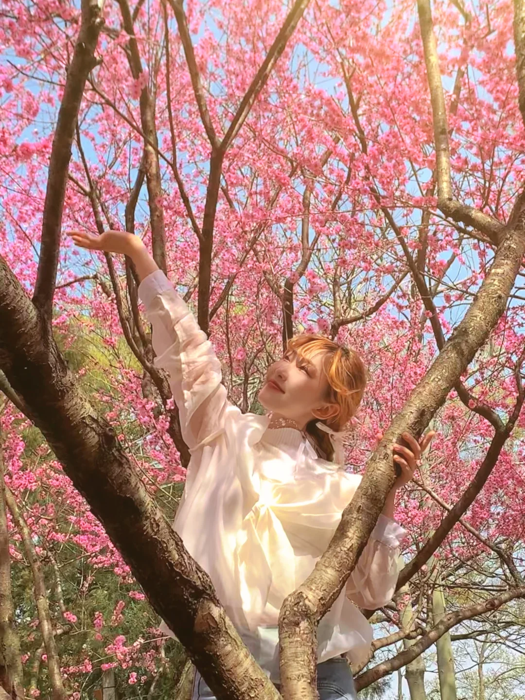 J人一个人无锡旅游，不同路人拍的照片