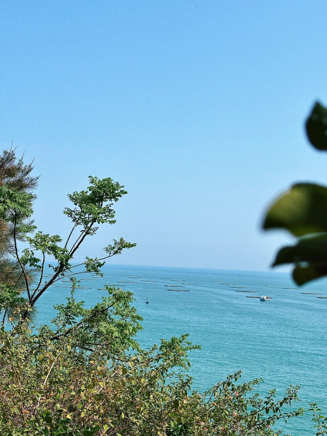 被朋友圈问爆！这个小众海岛🌊值得来无数次