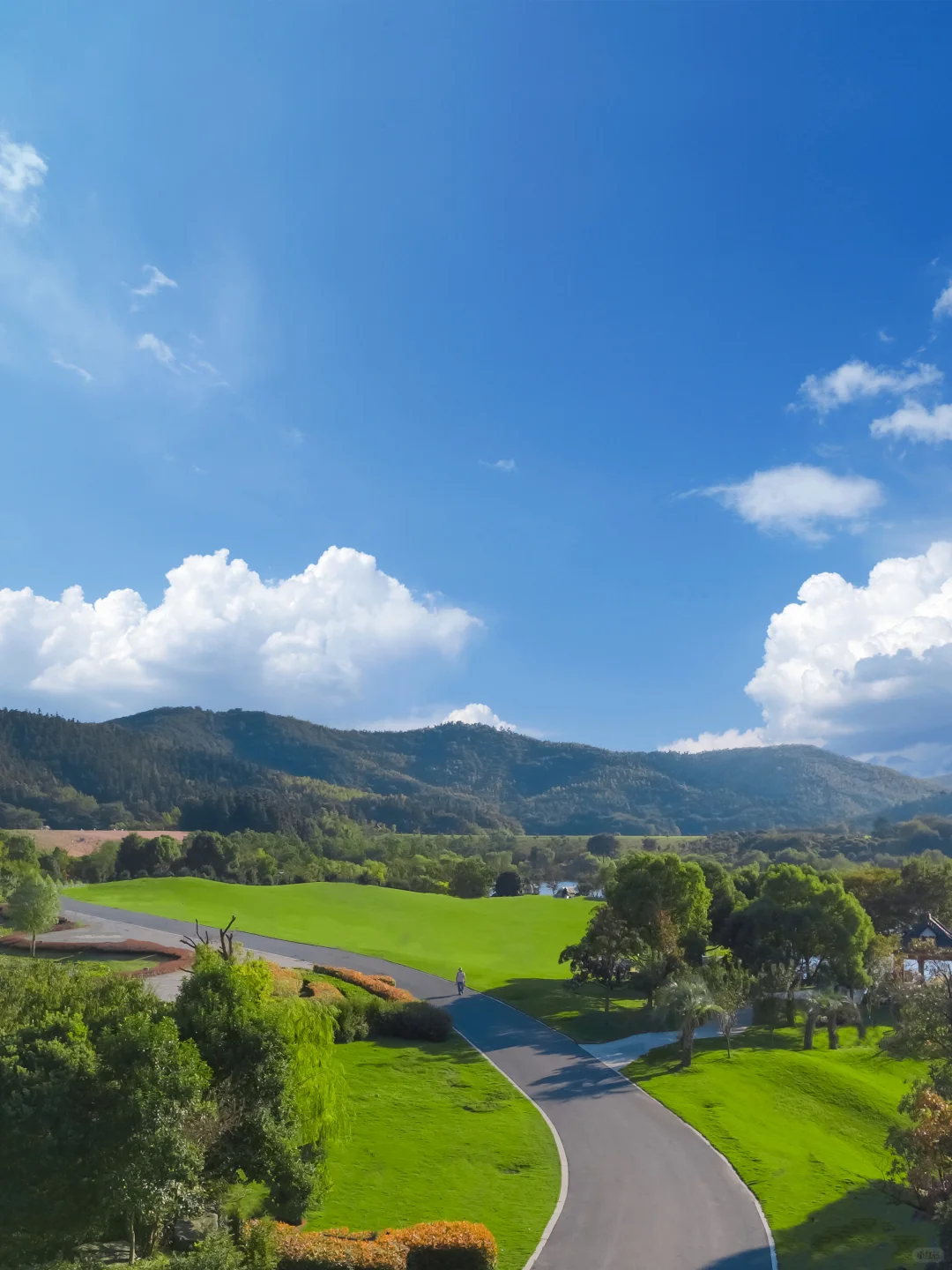 南京！！你美得让我感到陌生。。。