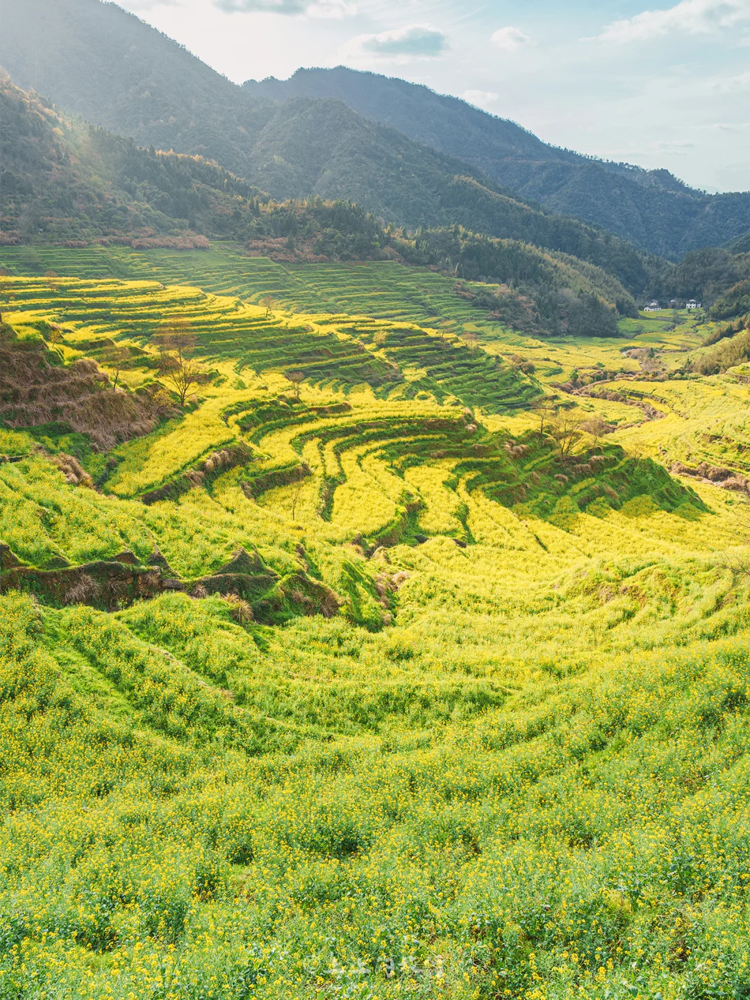 比起景德镇,我更爱这个国家地理推荐的小城…