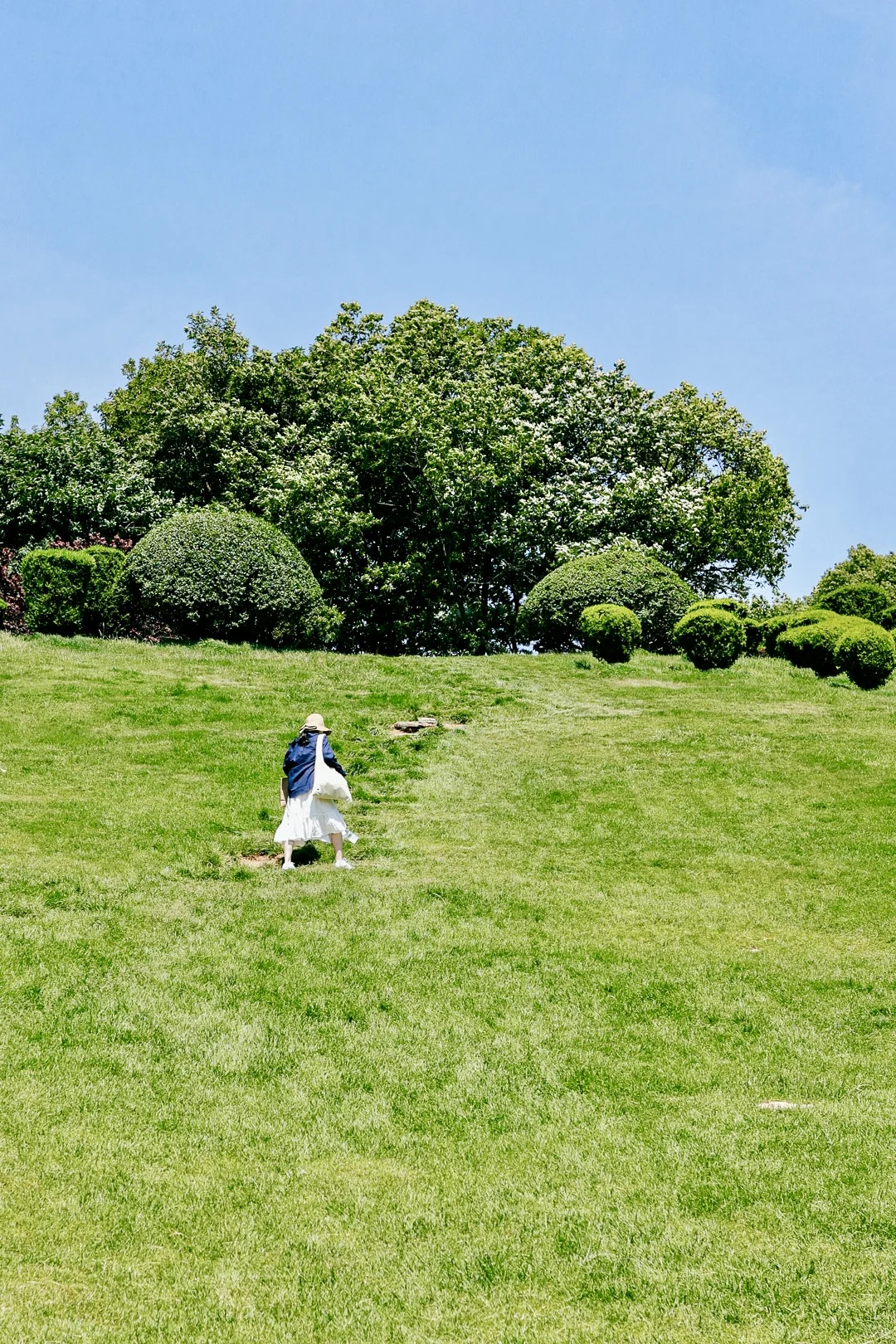 很期待接下来的春天/大连童牛岭