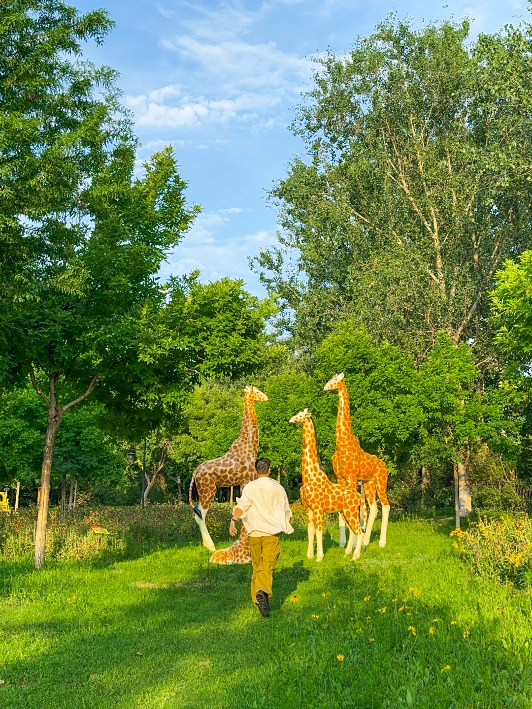 公园20分钟效应·邯郸植物园带来的松弛感🌲