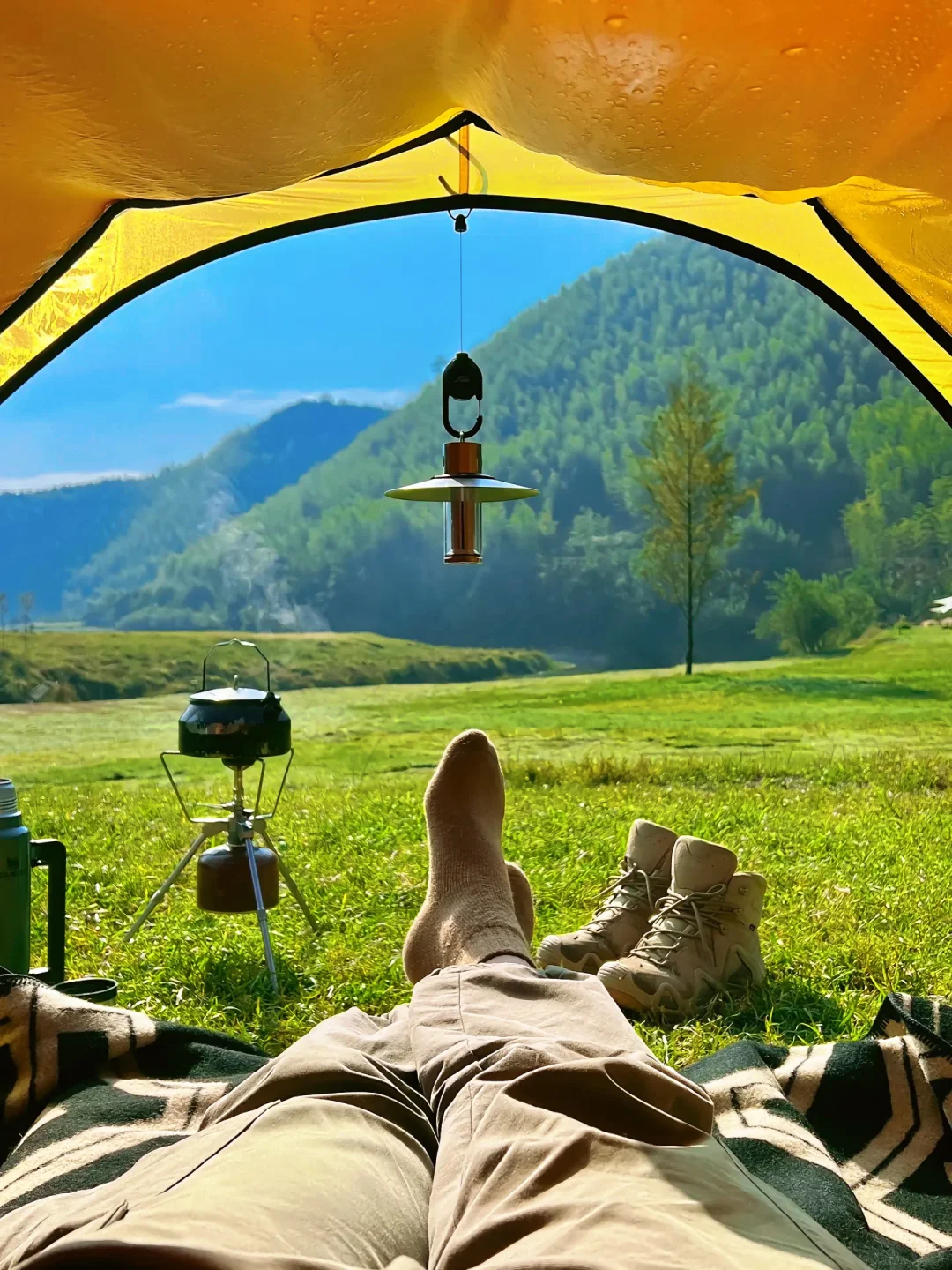 上海🚗2h｜5个天花板级别春游好去处