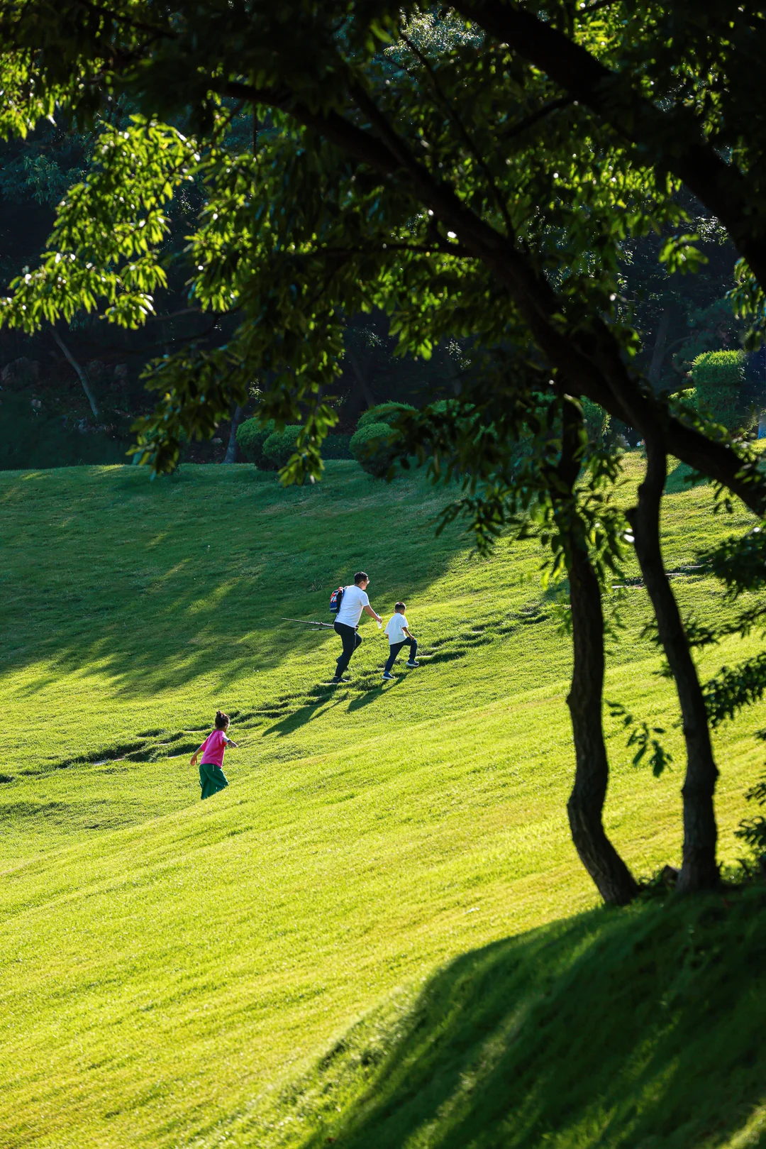 很期待接下来的春天/大连童牛岭