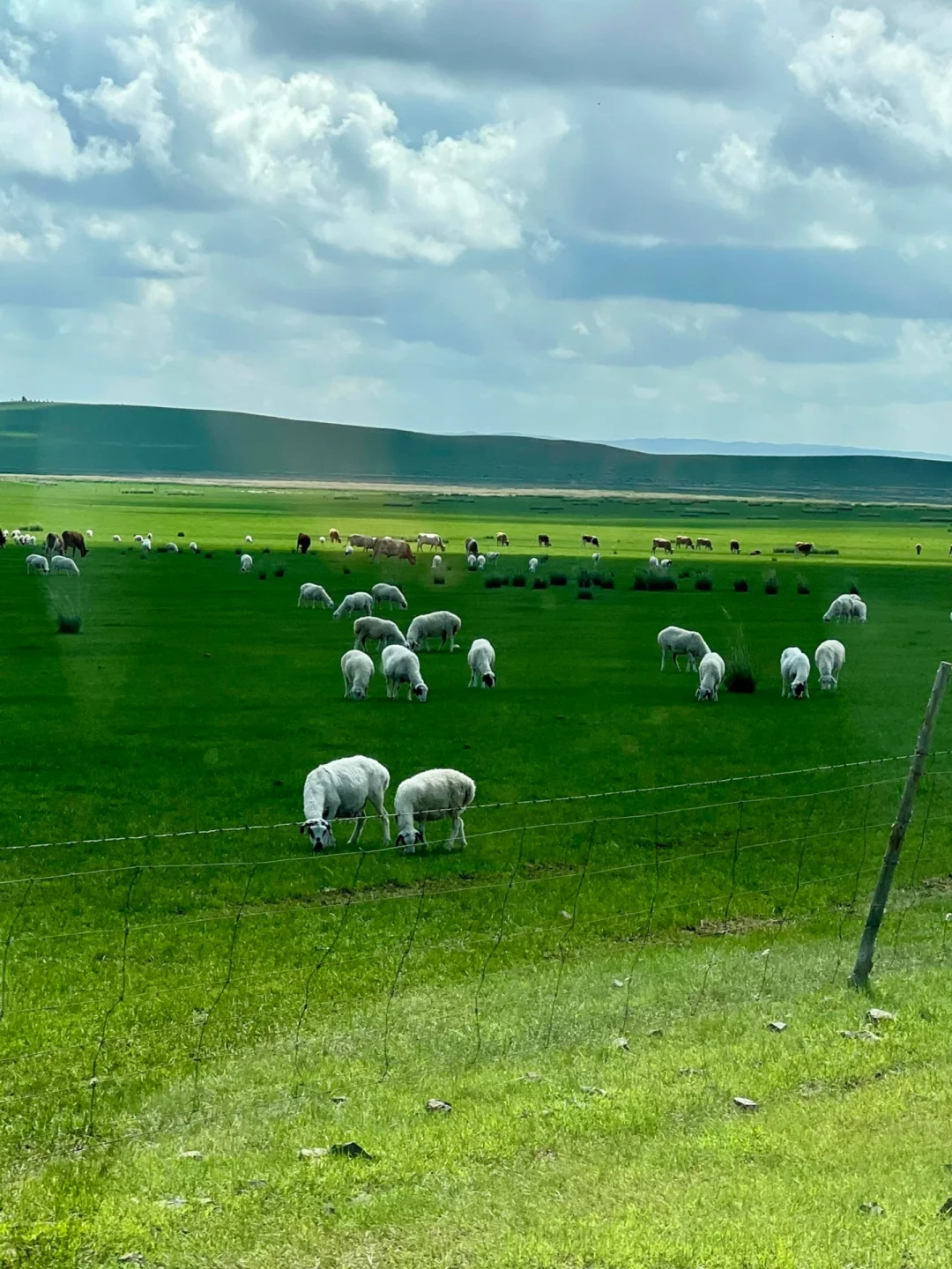 五一反向旅游！想安利1W次被低估的宝藏秘境