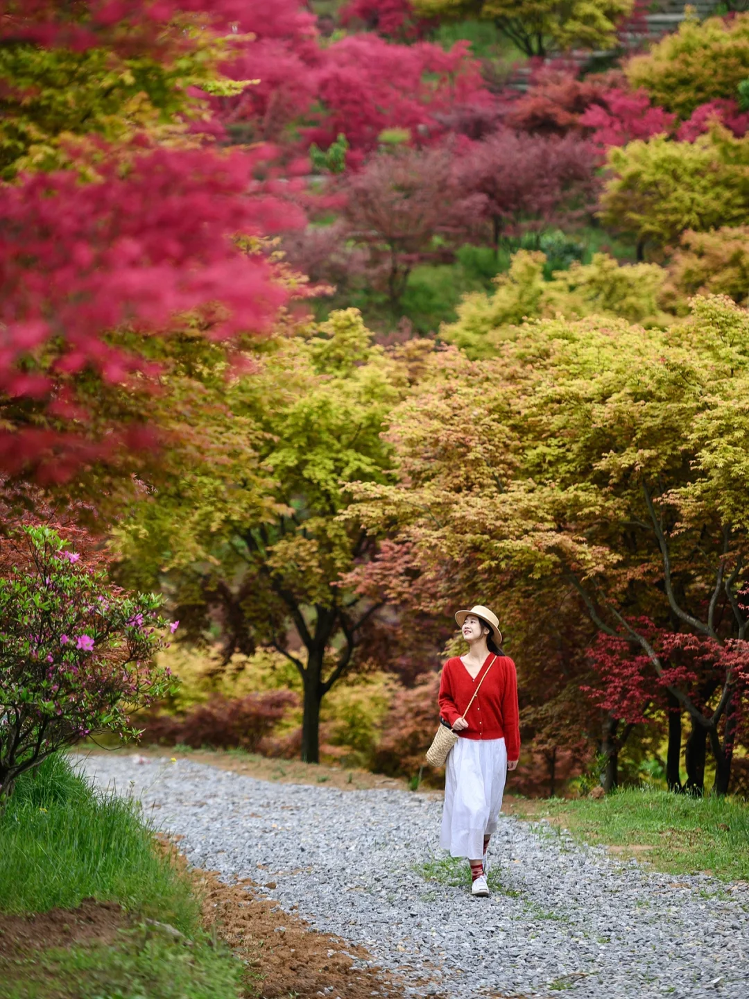 重庆，强烈推荐这个小众地方！油画彩林美绝了