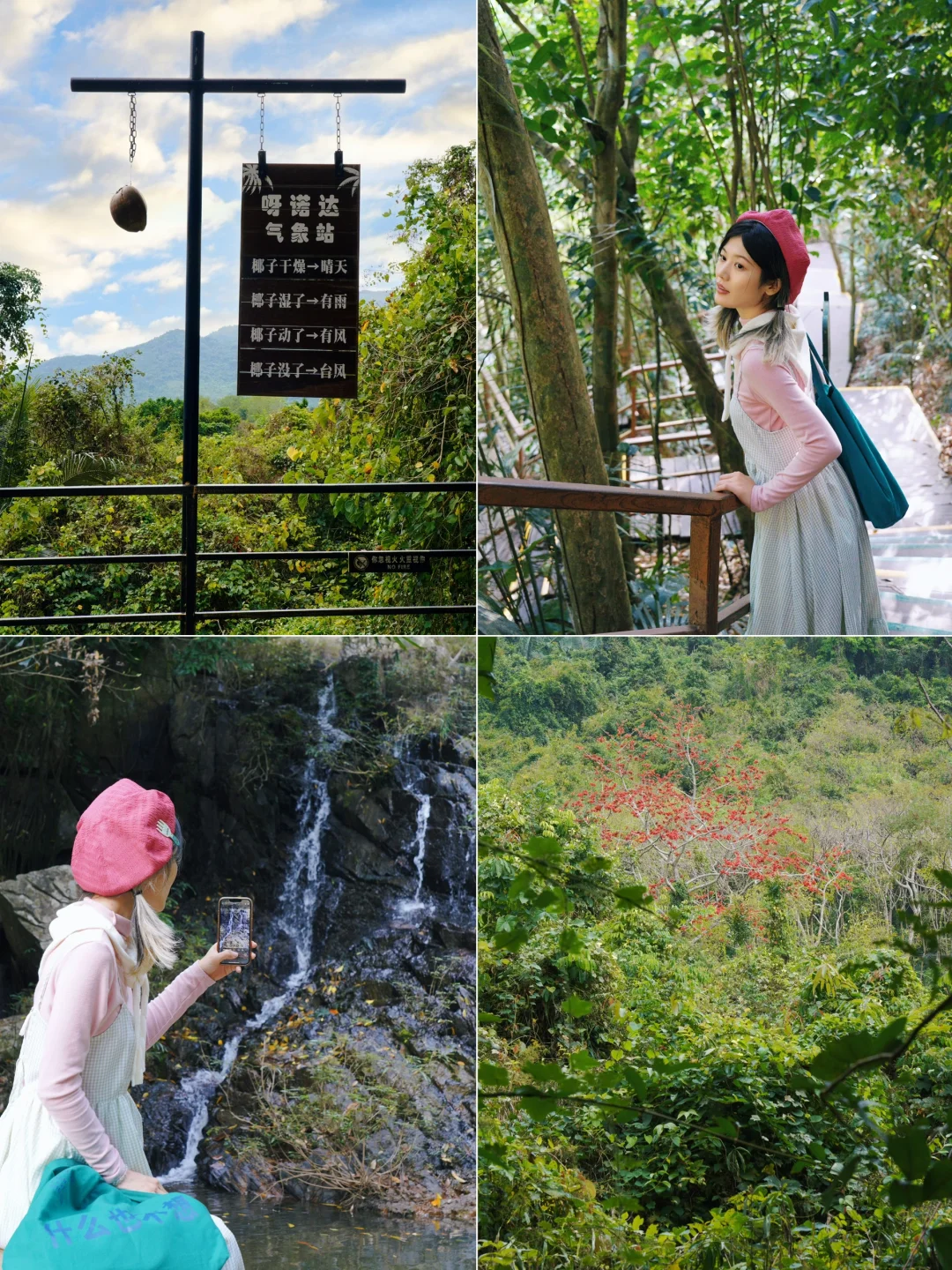 来三亚📍我发现了春日的热带雨林👒｜呀诺达