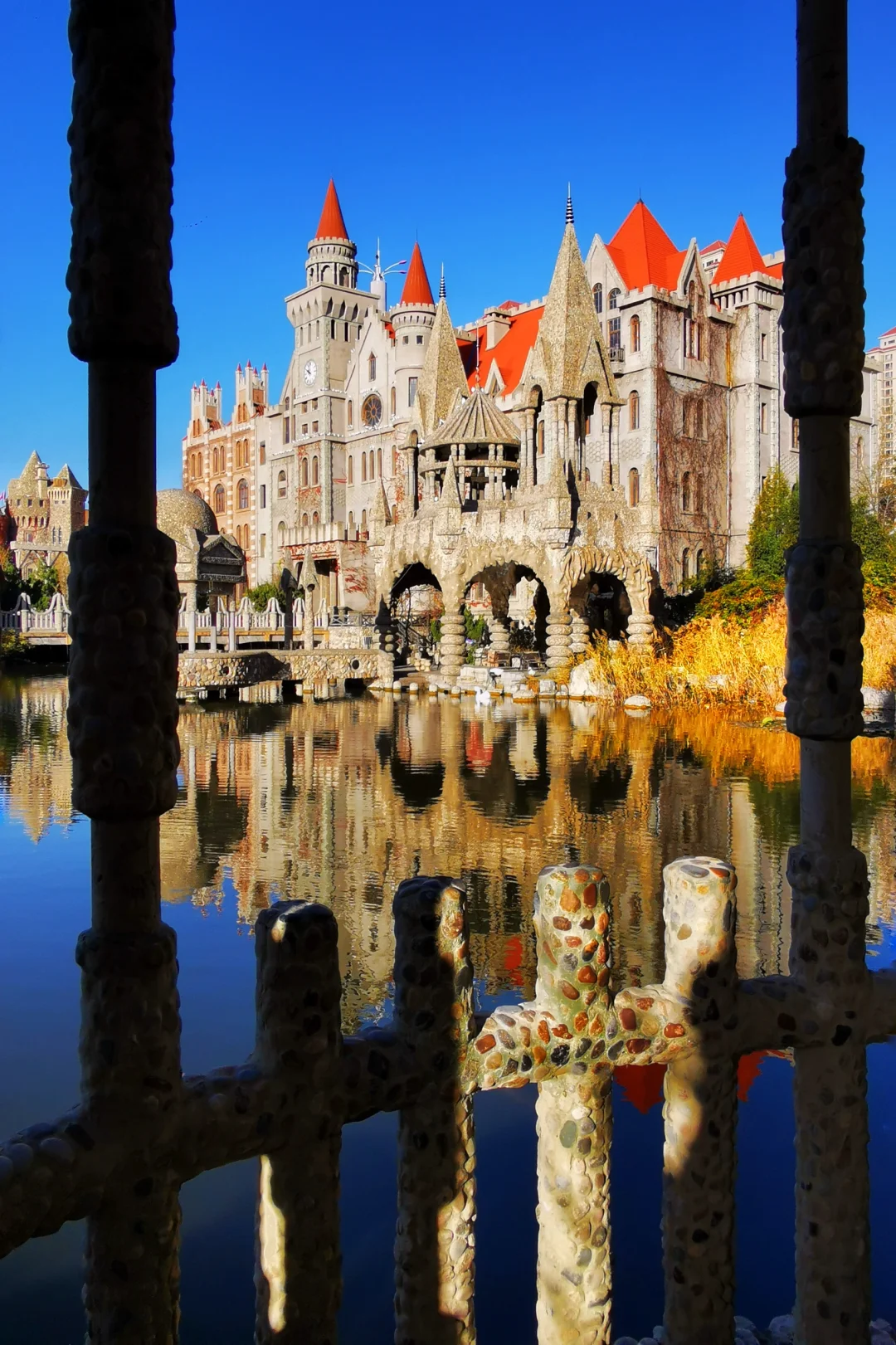 打卡天津254：惊艳的中华石园🌺