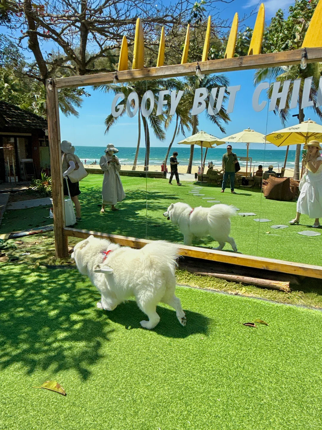 万宁3️⃣月淡季摆烂日记🫧🏖️（穷游不累人版）