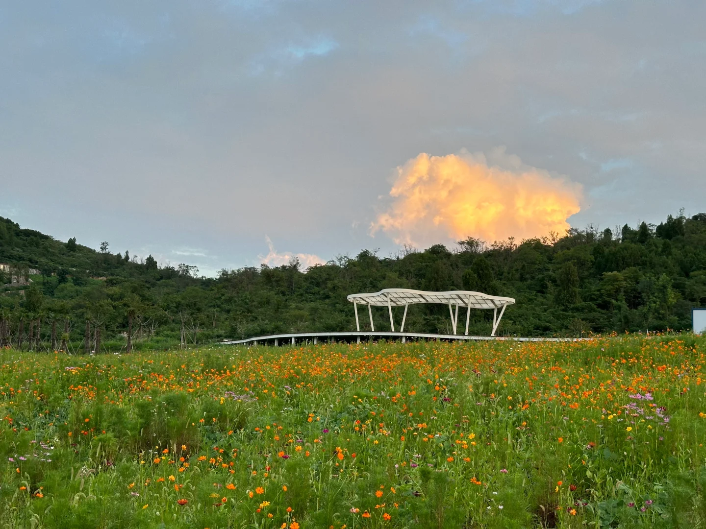 不用去新疆，枣庄也有自己的阿勒泰