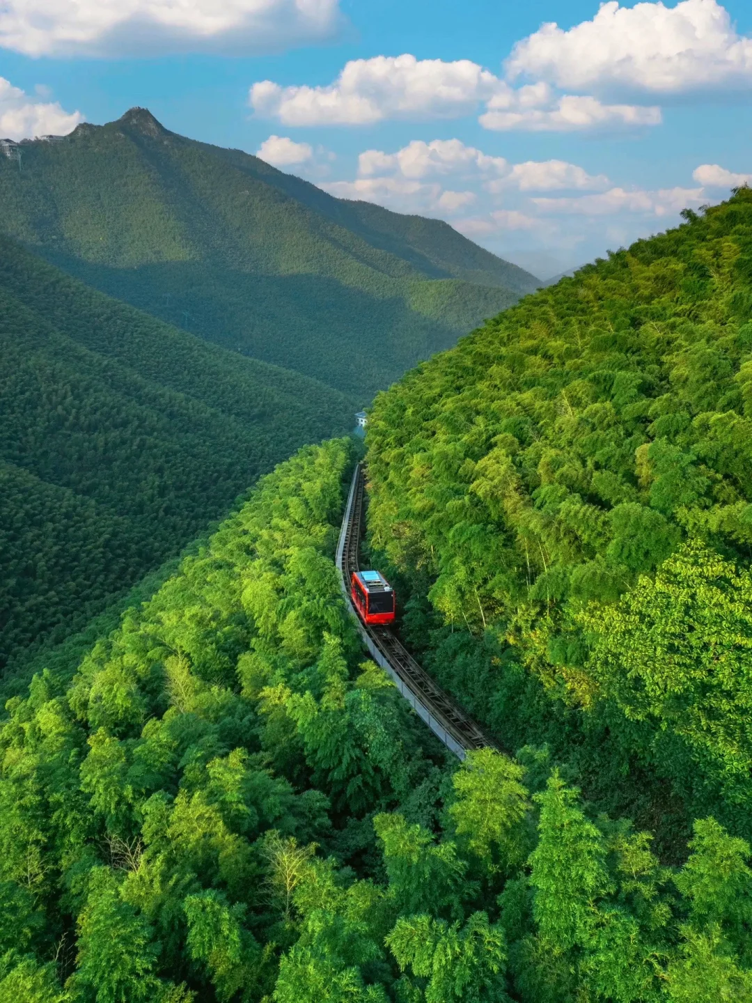 上海🚗2h｜5个天花板级别春游好去处