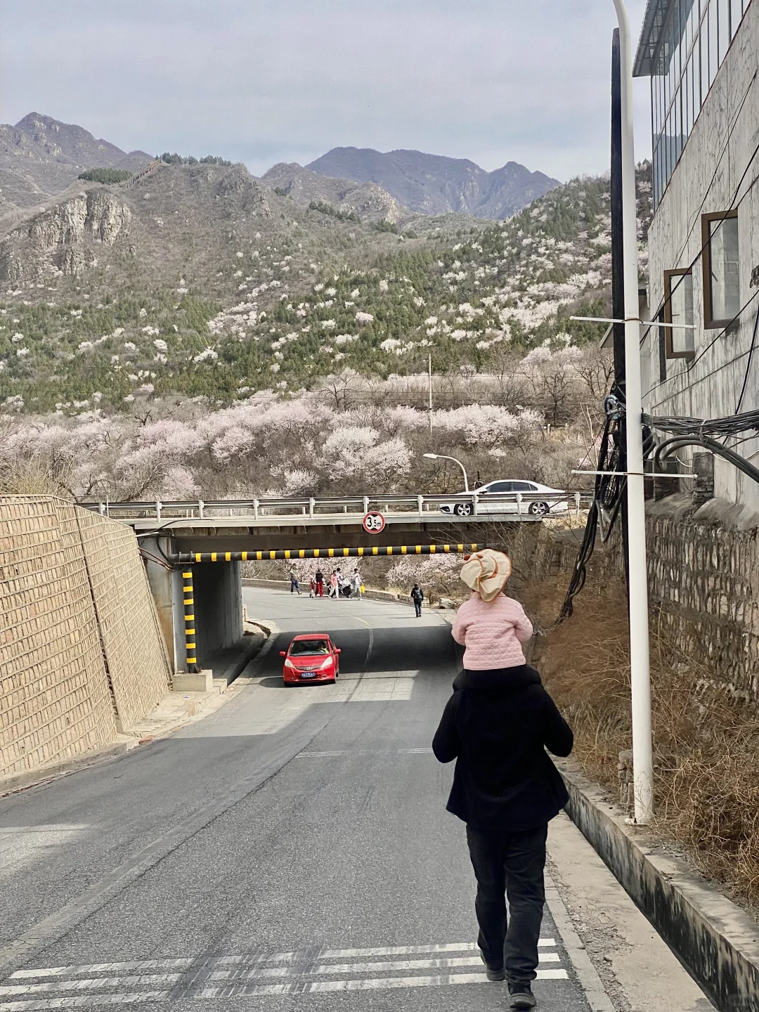 3月22居庸关花海列车没白去，0元解锁附攻略