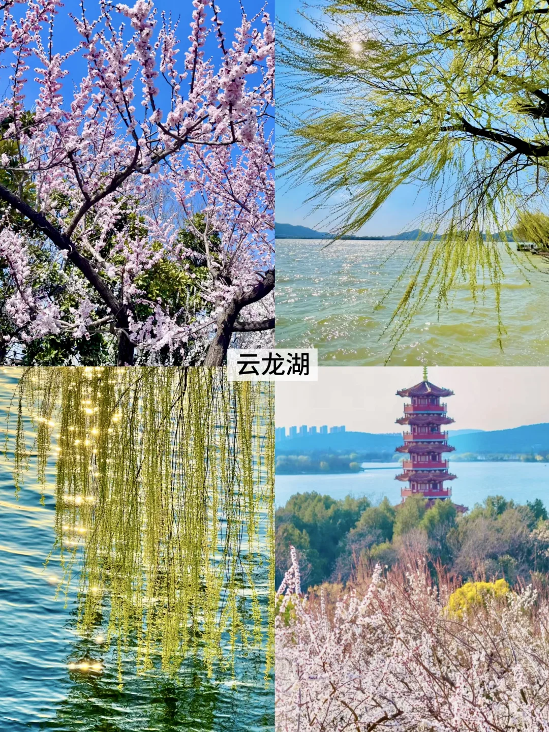 徐州春日好去处|💐9个景点-内附详细攻略💐
