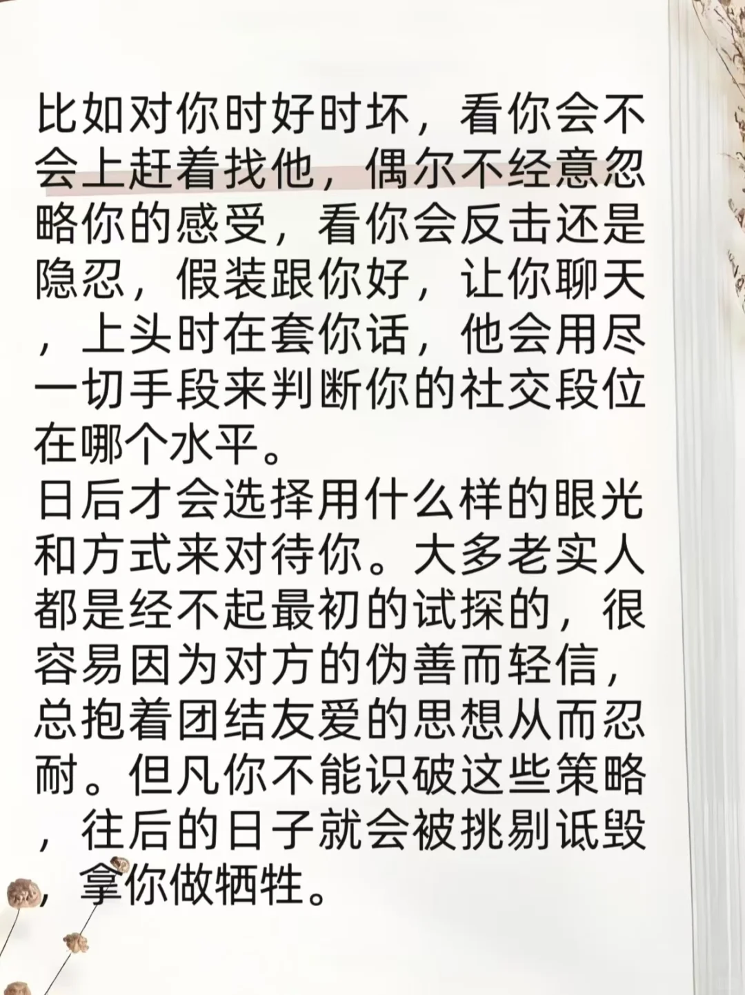 原来社交能力是这样学来的