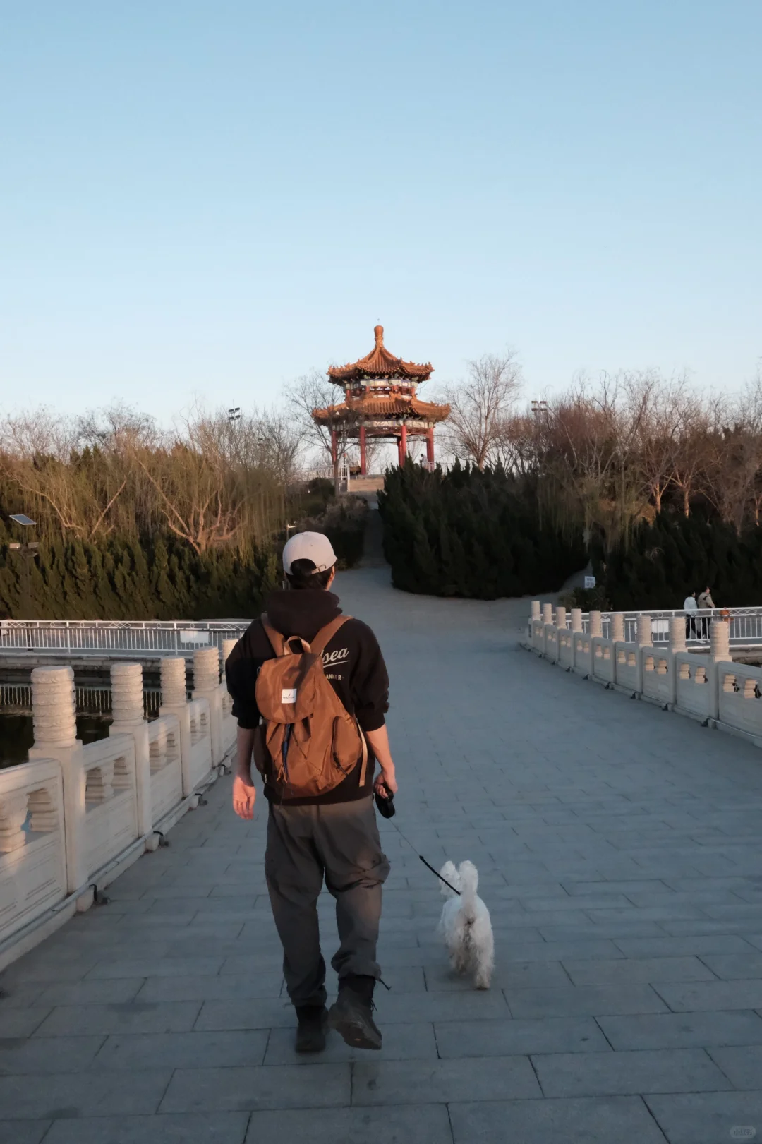 沧州｜带狗下江南第一站 烟火气十足的小城🍲