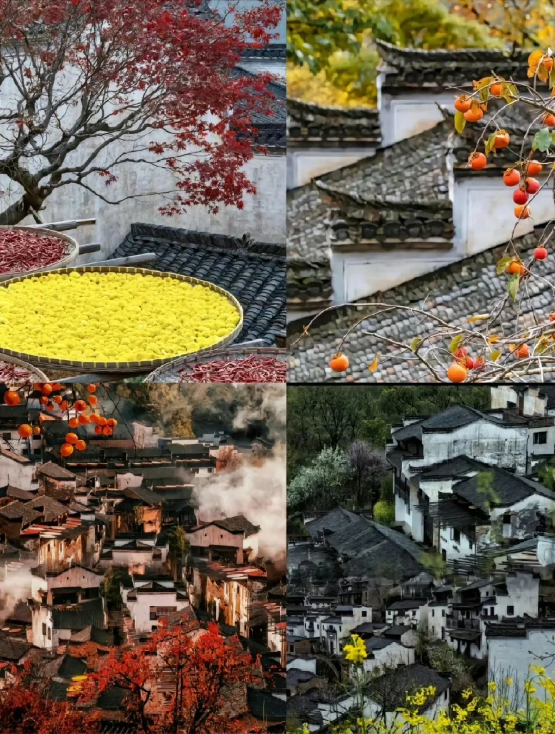 打工人清明就去这个宝藏旅行地