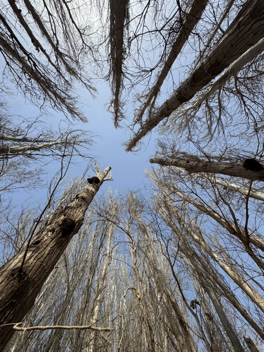 肉孜节|2️⃣个短途亲子出游小众地➡️线路
