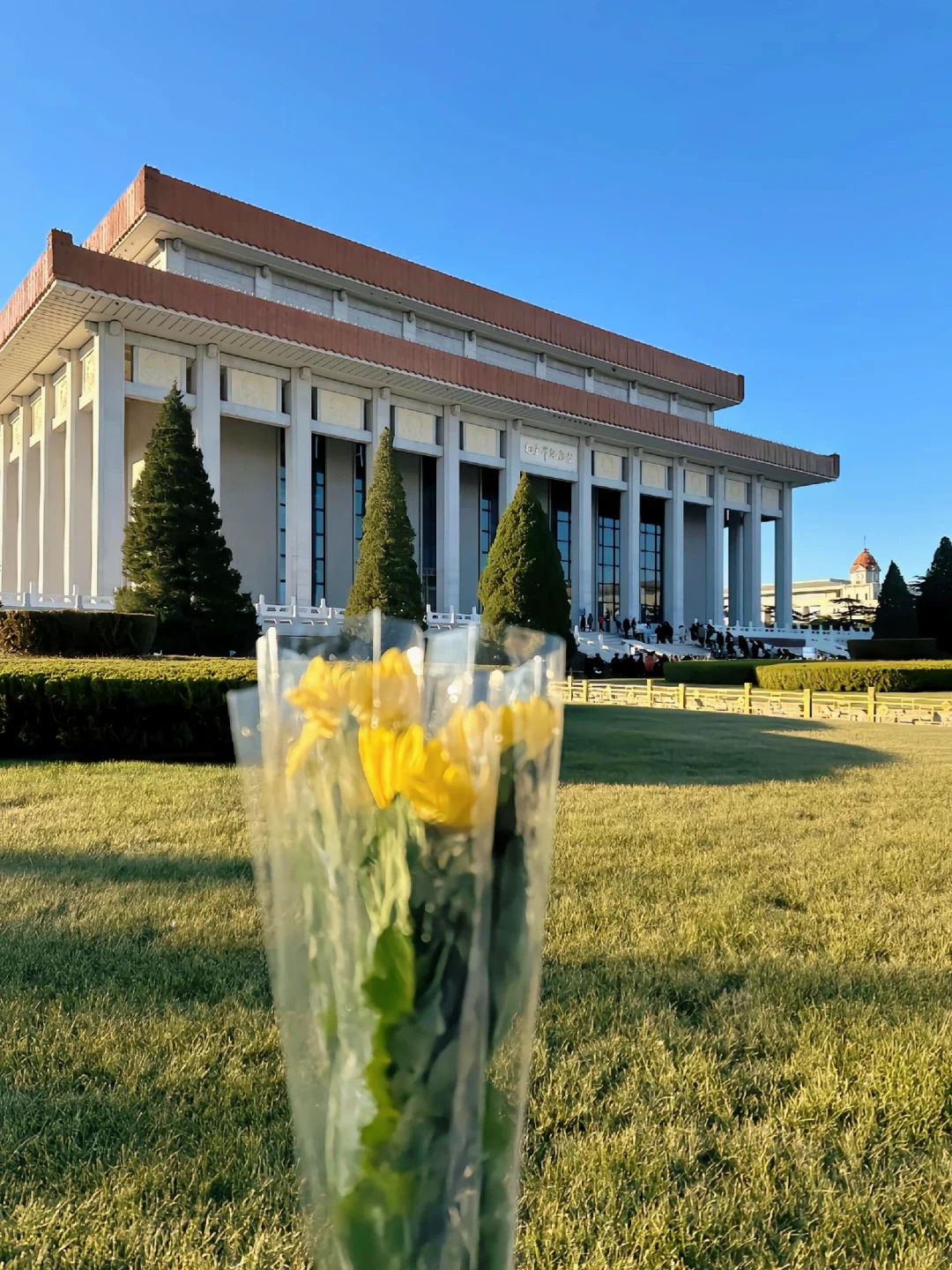 📍3.23北京已回，真的要被挤奔溃了😭