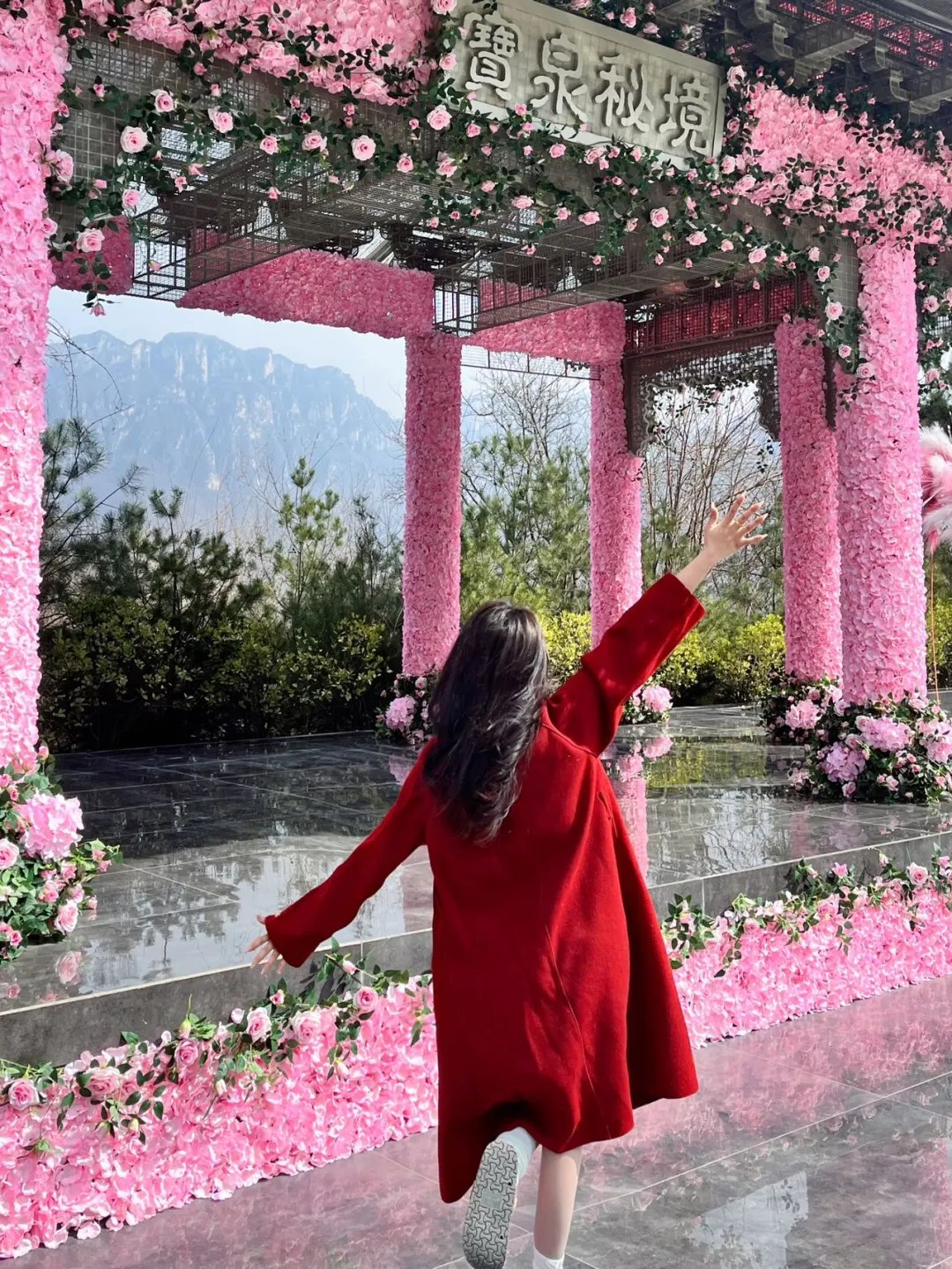 谁懂！河南宝泉藏着春日限定郁金香花海🌷