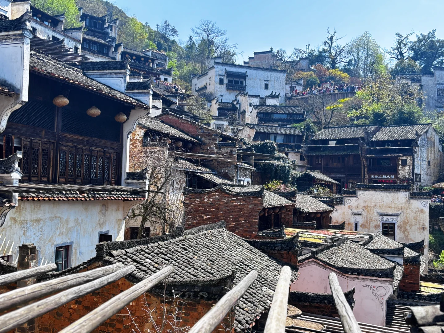 📍江西婺源 篁岭 真心不推荐