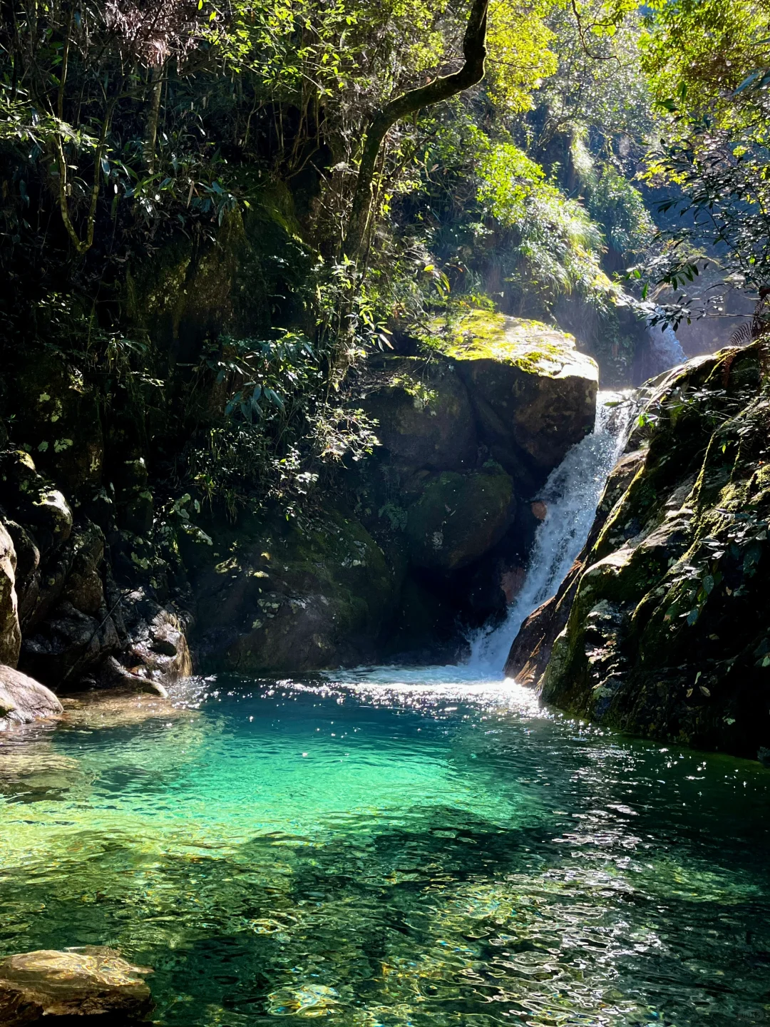 丽水秘境徒步｜阳光洒落 潭水如钻🍃🧊🫧