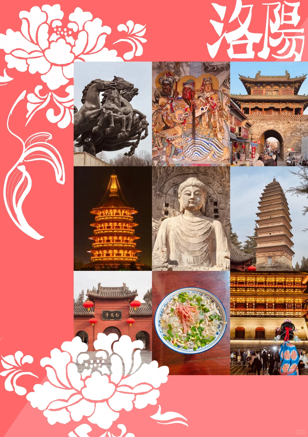 牡丹待放🌸｜洛阳还有这些地方穿越千年