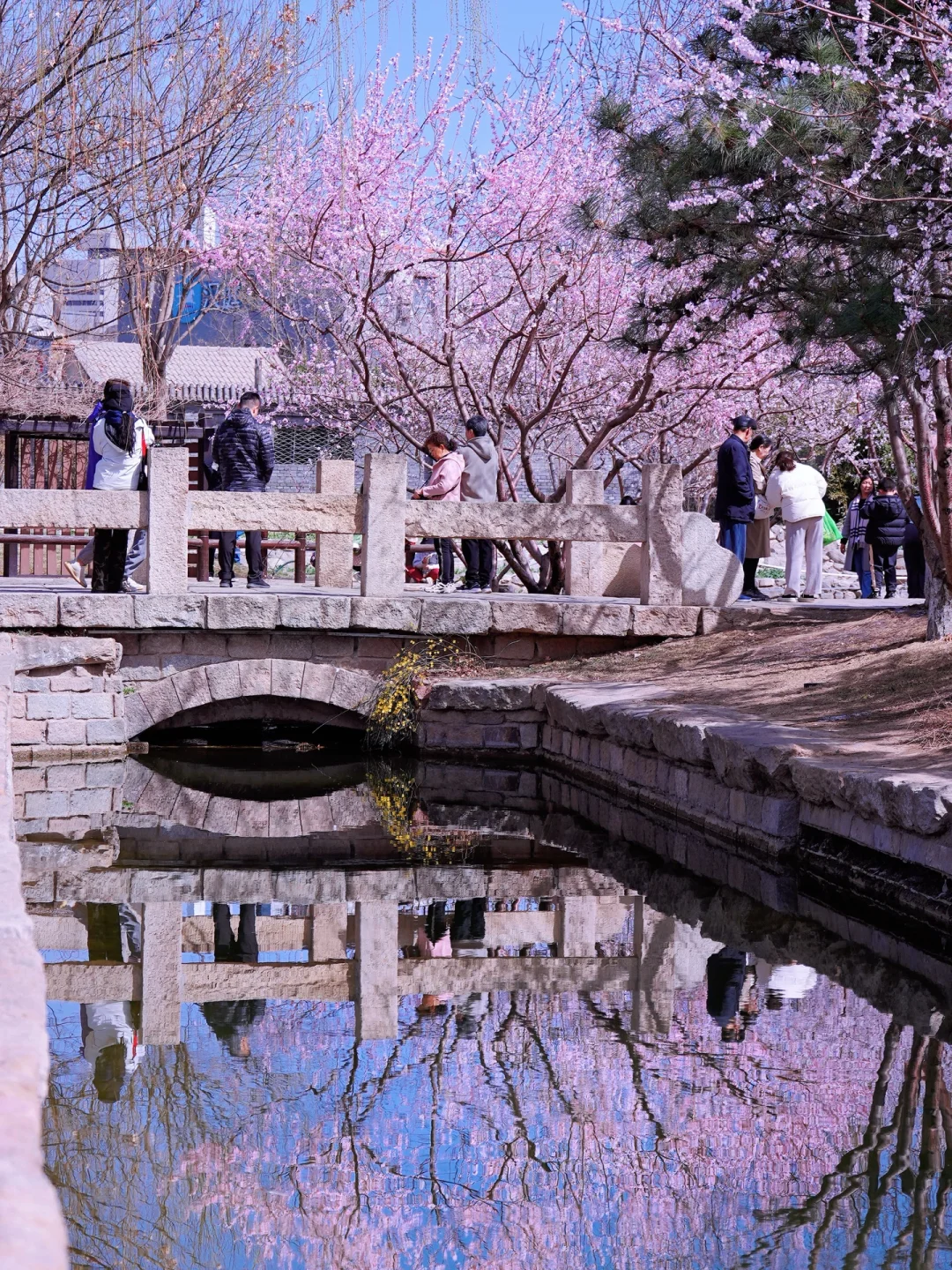 北京春天📍适合一个人逛一下午的地方…