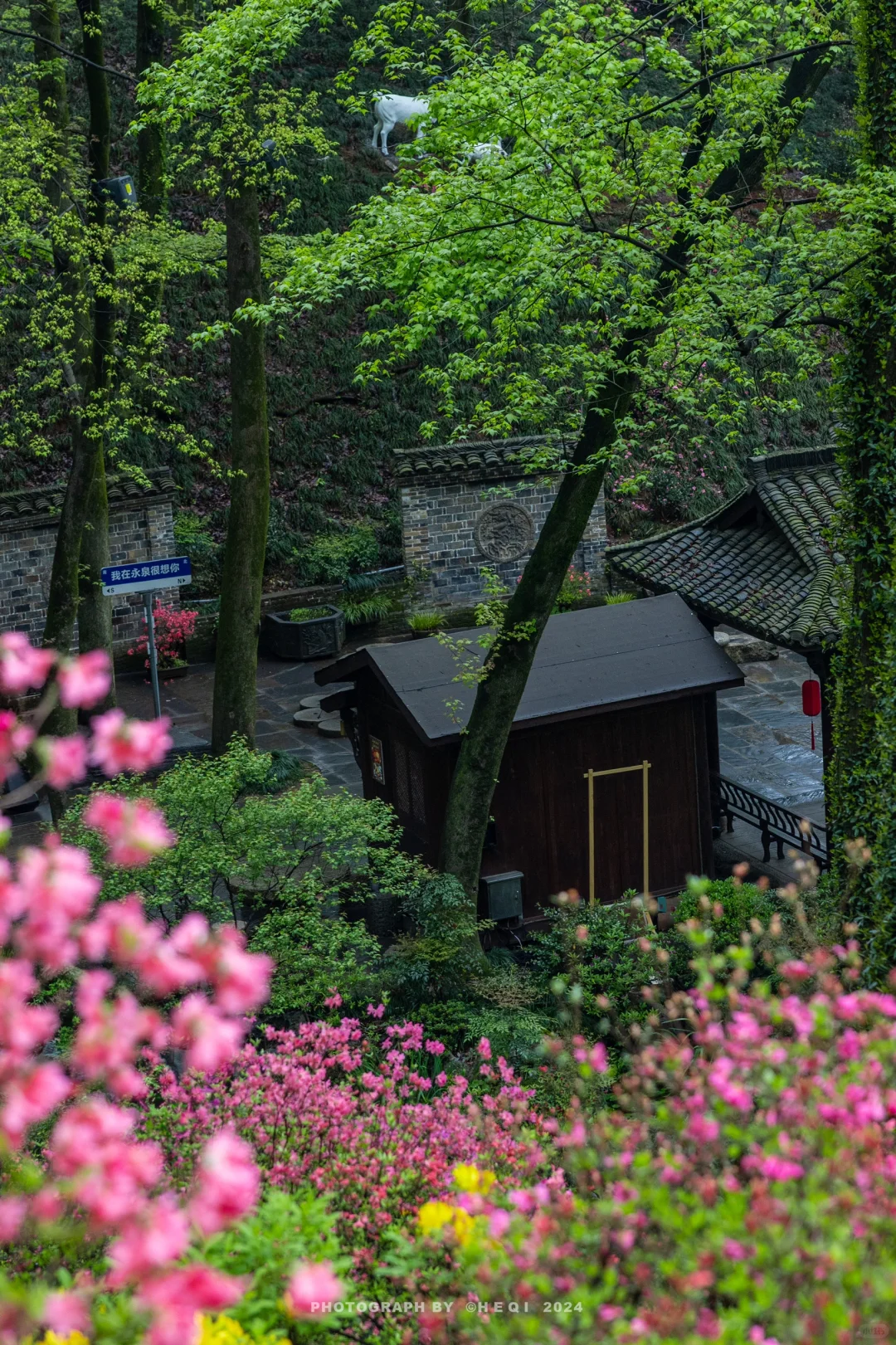 比起杭州，我更爱这个还在用铜钱的皖南小镇