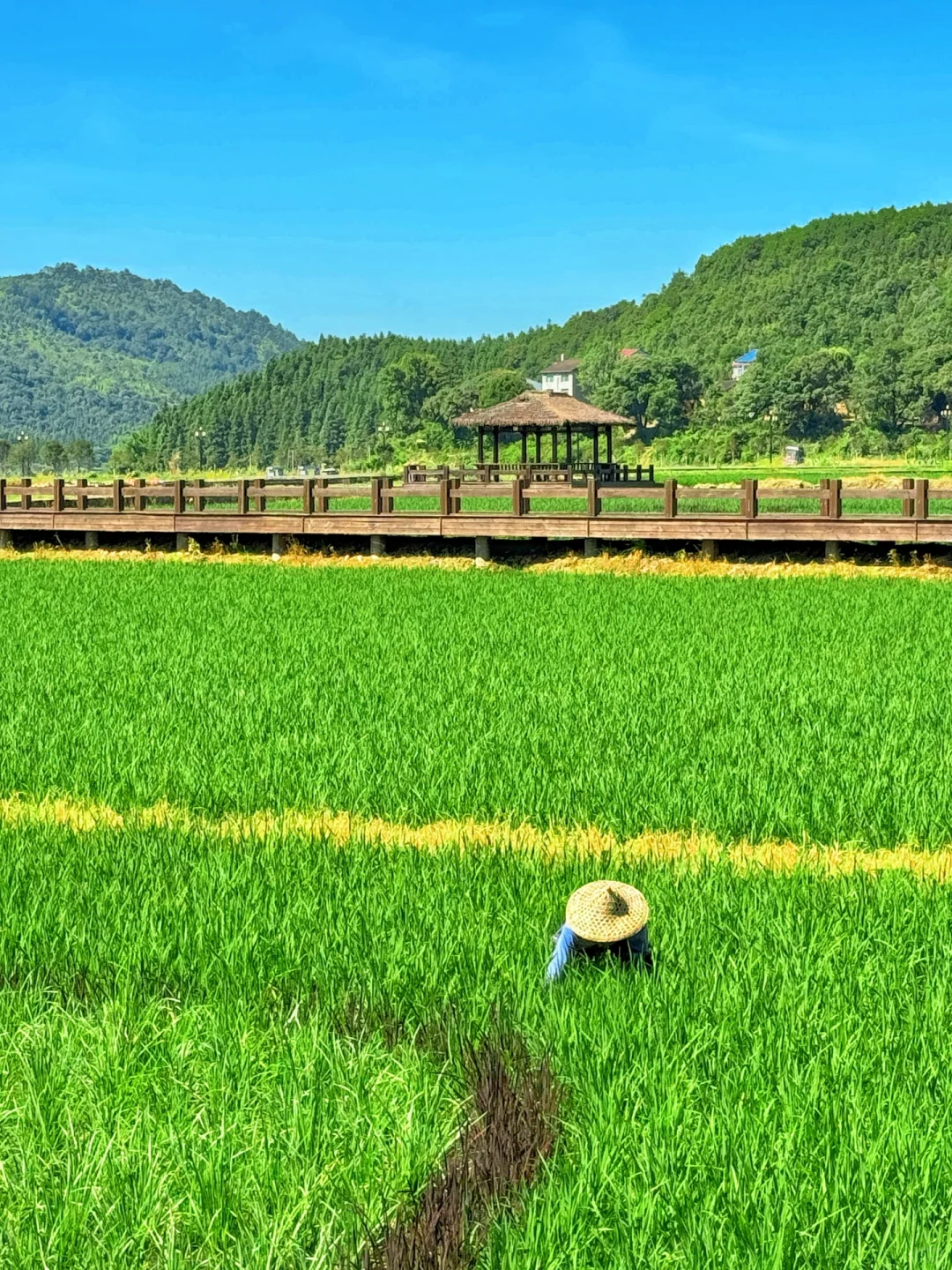 本以为西湖已经够美了，直到来了这里…………