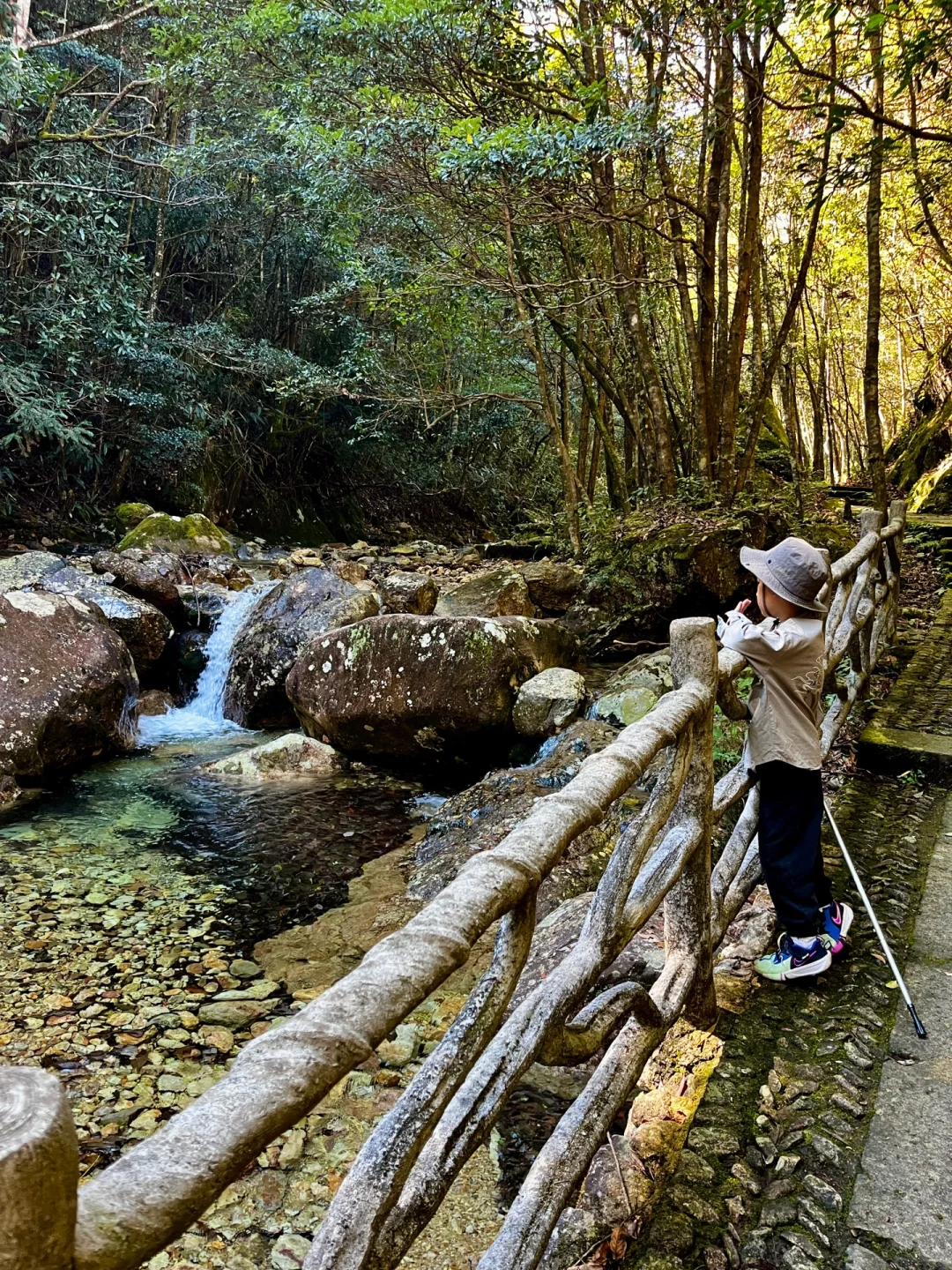 丽水秘境徒步｜阳光洒落 潭水如钻🍃🧊🫧
