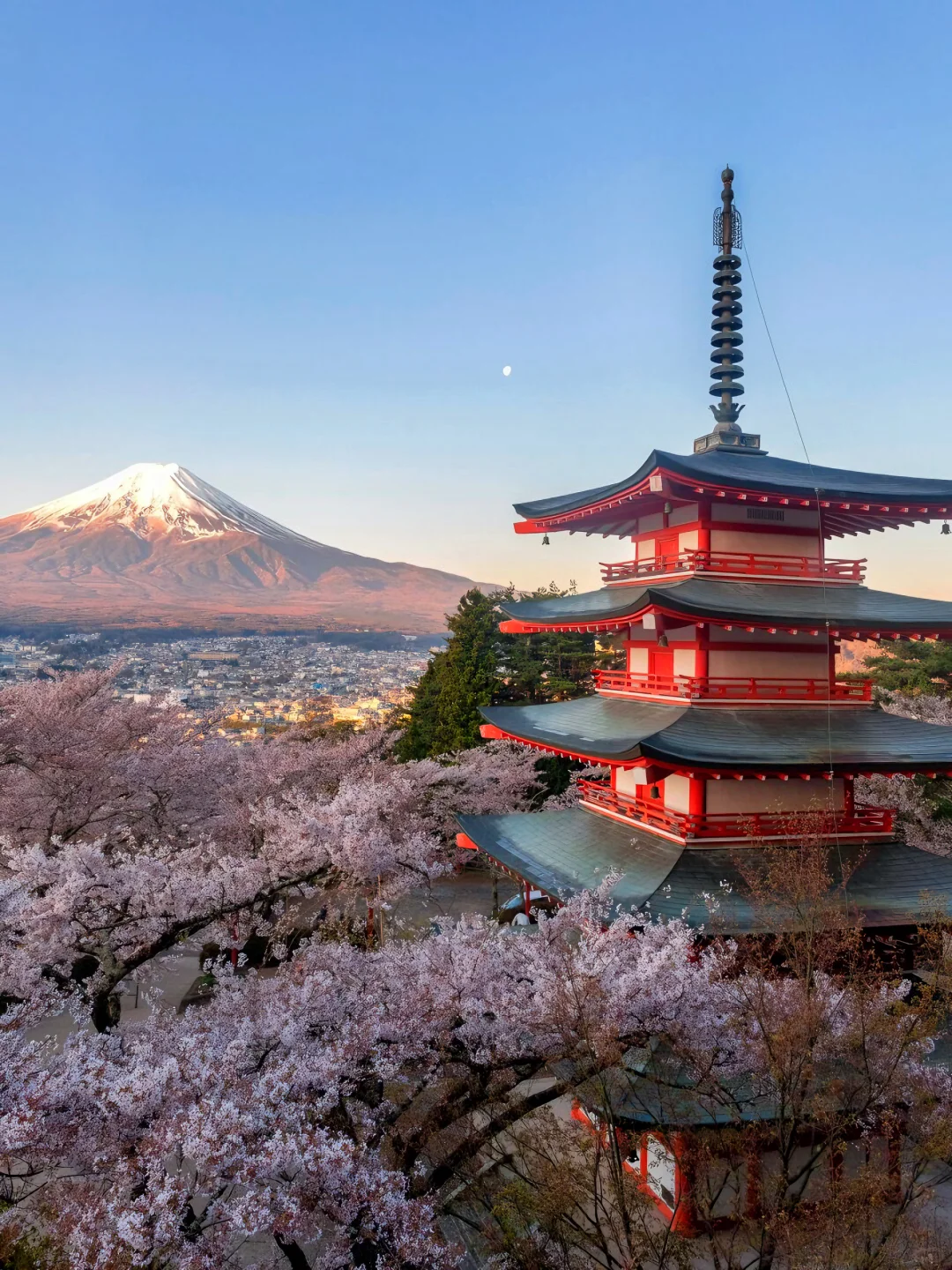 静冈旅游攻略 | 一场治愈心灵的海滨之旅